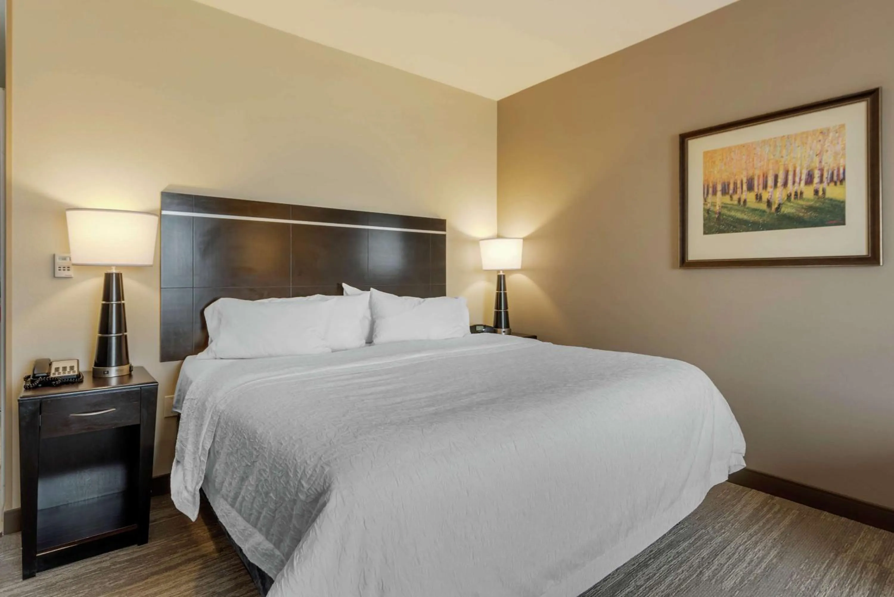 King Studio Suite with Sofa Bed - Non-Smoking in Hampton Inn Alamosa