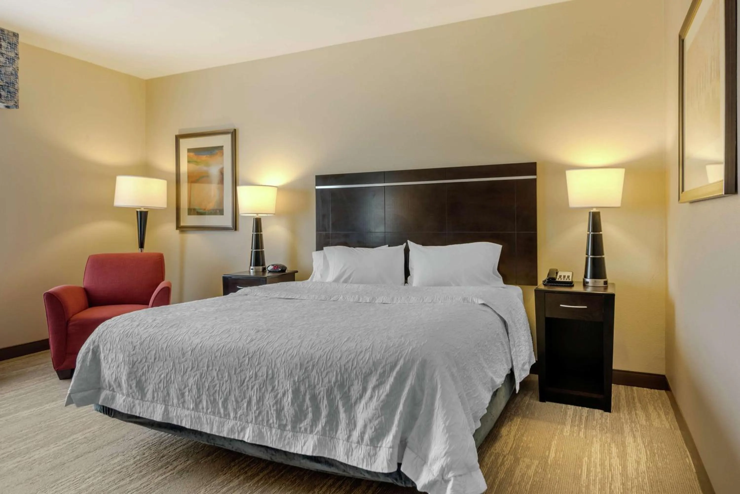 King Room with Accessible Tub - Mobility and Hearing Access/Non-Smoking in Hampton Inn Alamosa