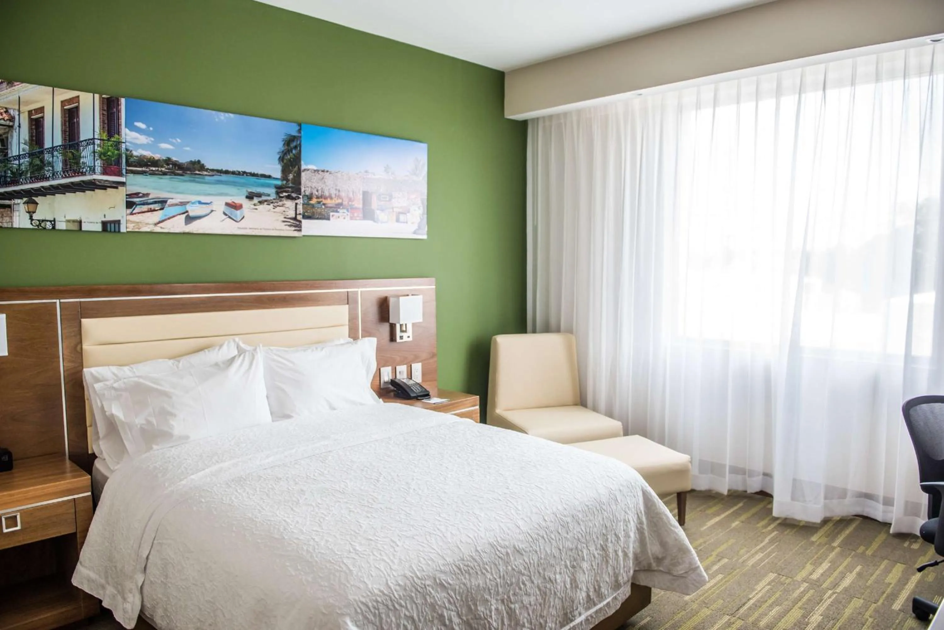 Queen Room with Roll-In Shower - Mobility Accessible/Non-Smoking in Hampton By Hilton Santo Domingo Airport