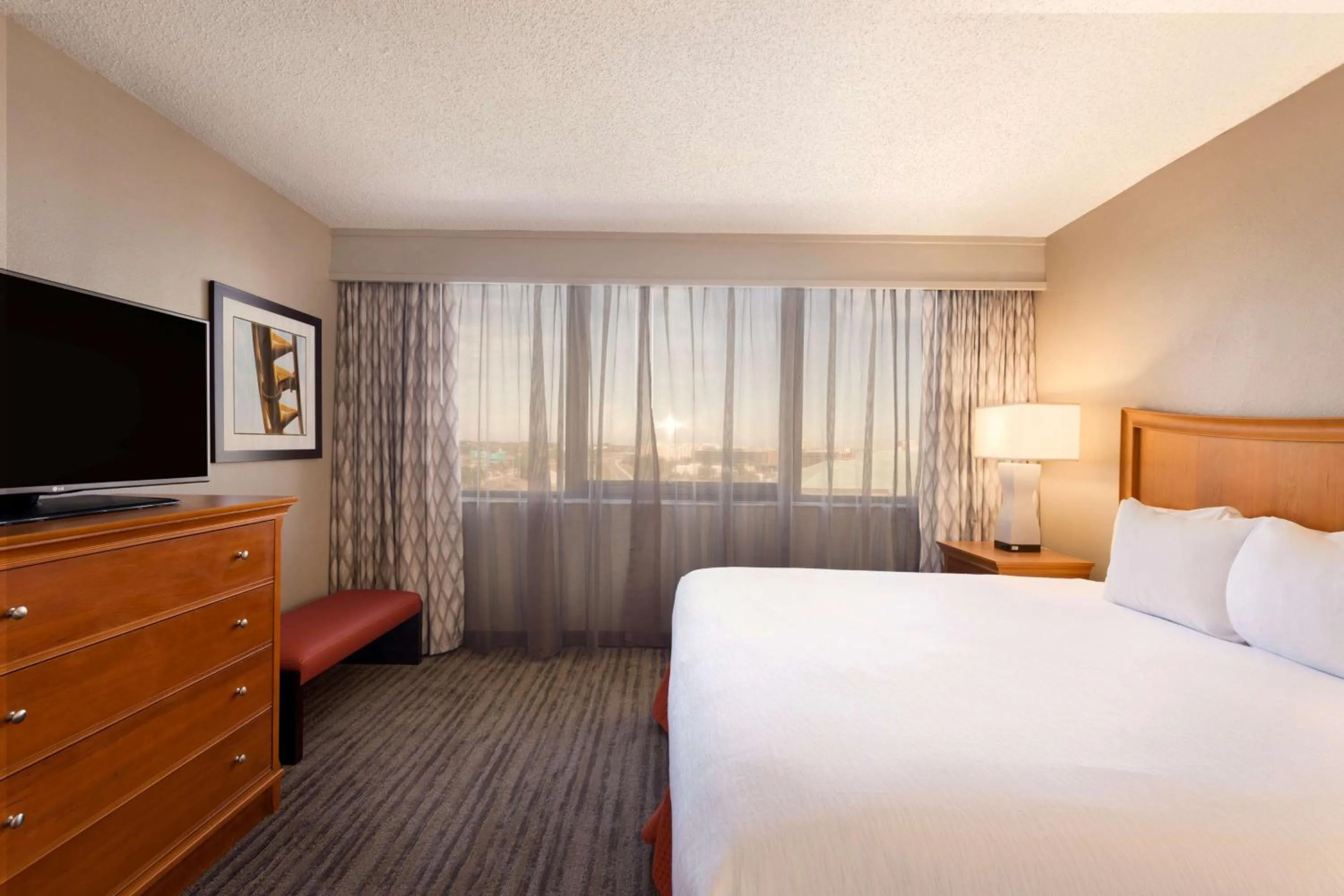 Premium Two Room Suite with One King Bed and Sofa Bed in Embassy Suites by Hilton Orlando International Drive ICON Park