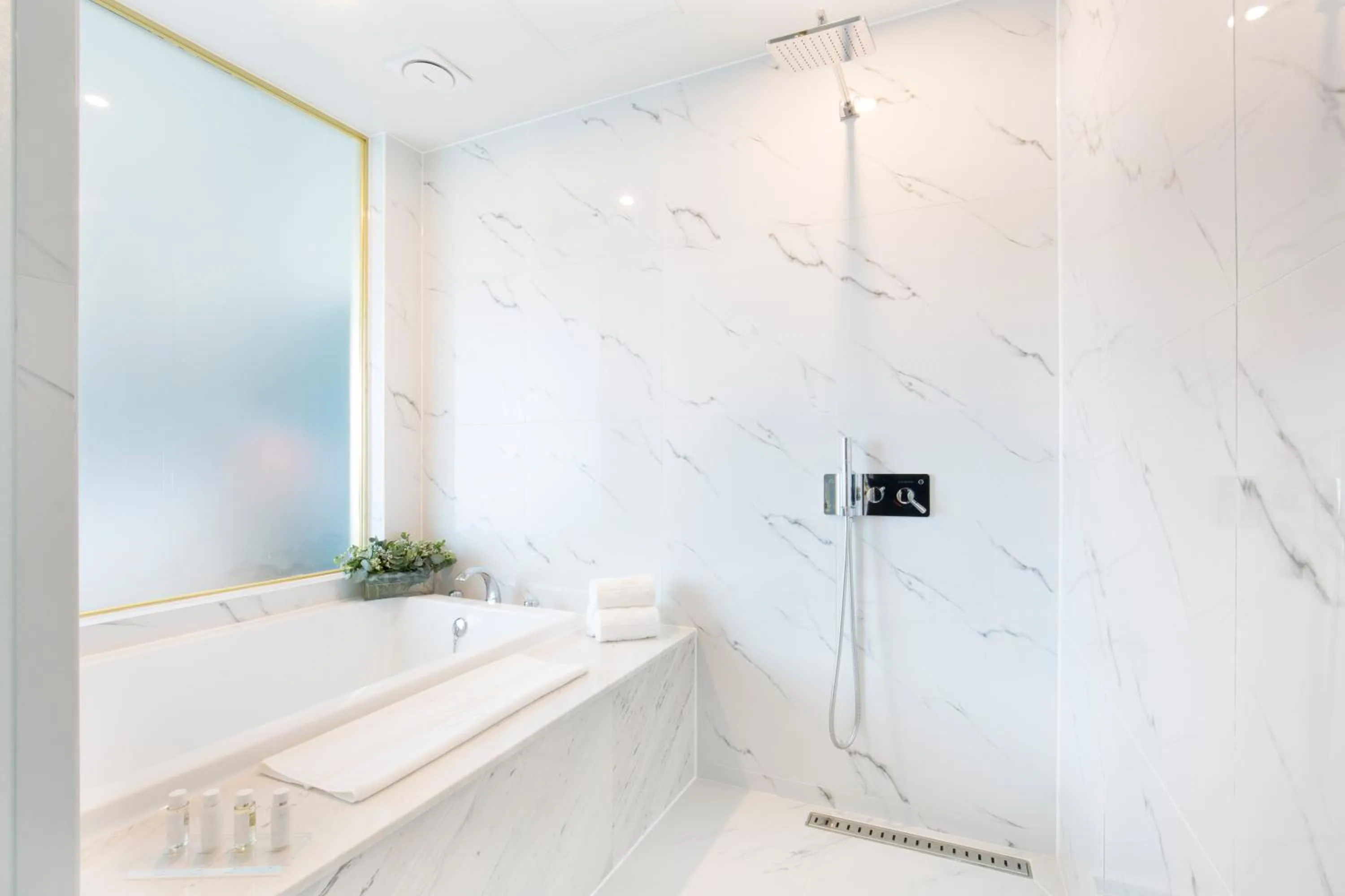 Deluxe Double Room with No View in Nampo Hound Hotel Premier