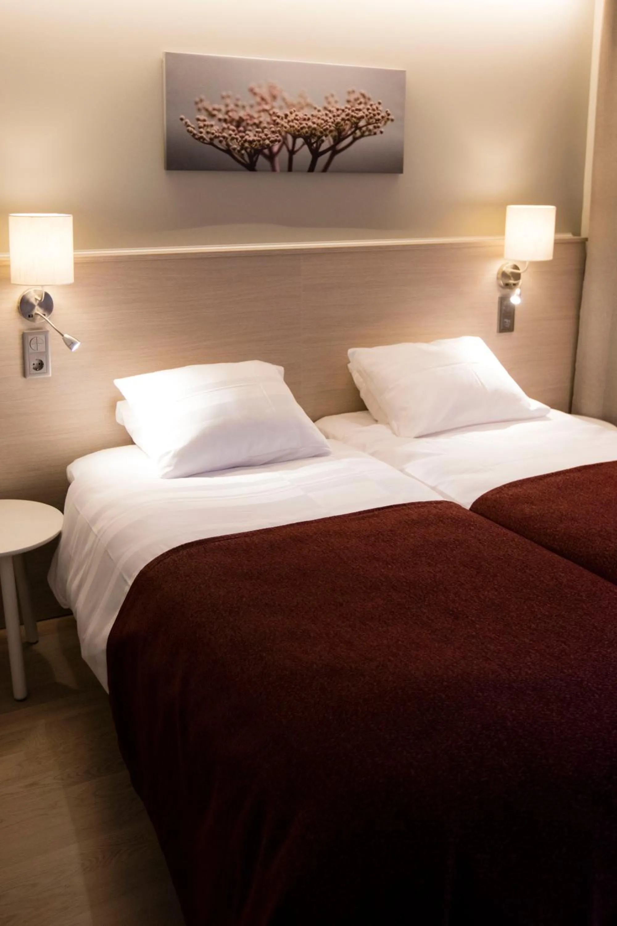 Twin Room - single occupancy in Park Alandia Hotel