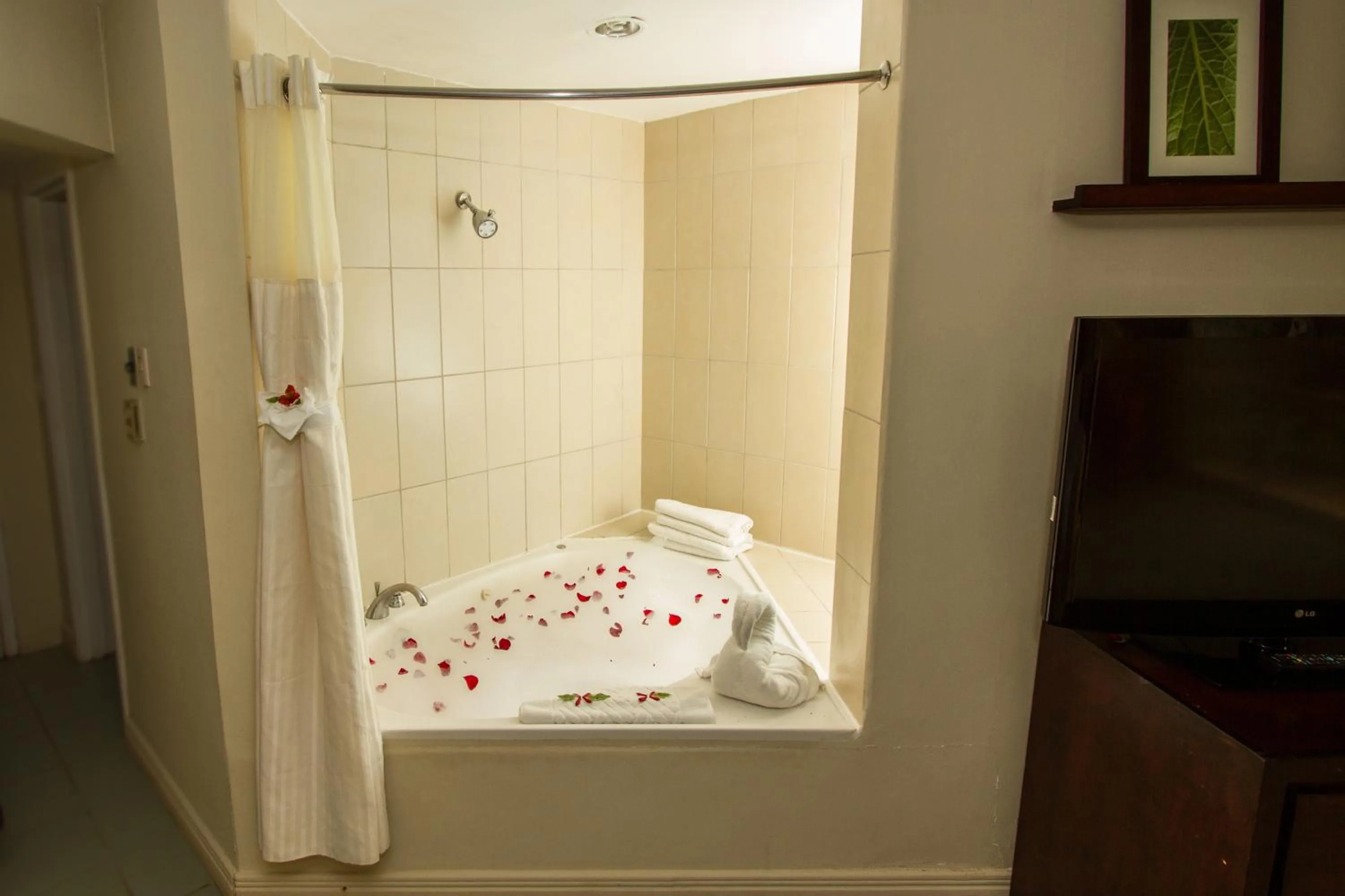 Jr Honeymoon suite in Fiesta Resort All Inclusive Central Pacific - Costa Rica