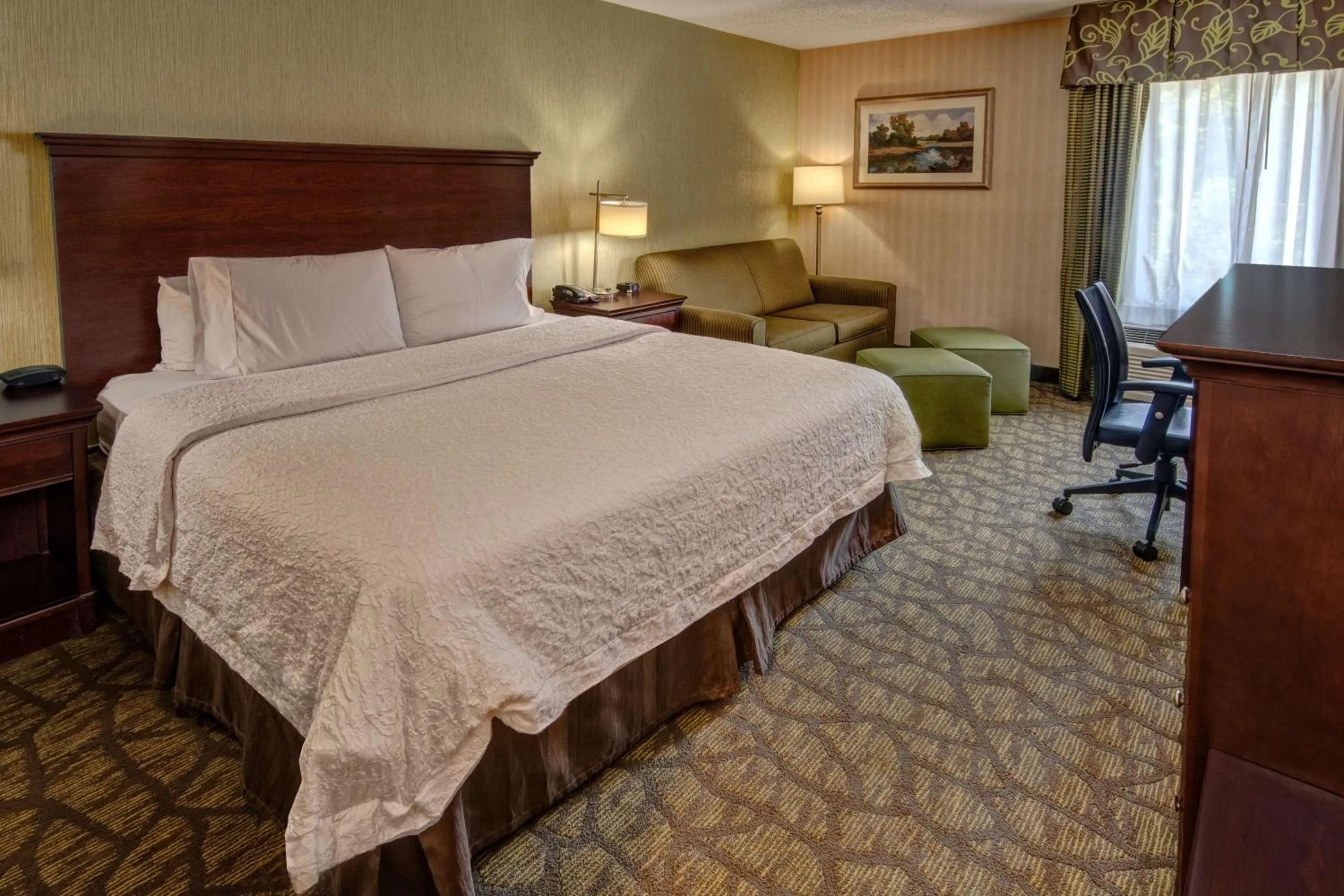 King Room - Smoking  in Hampton Inn Rocky Mount