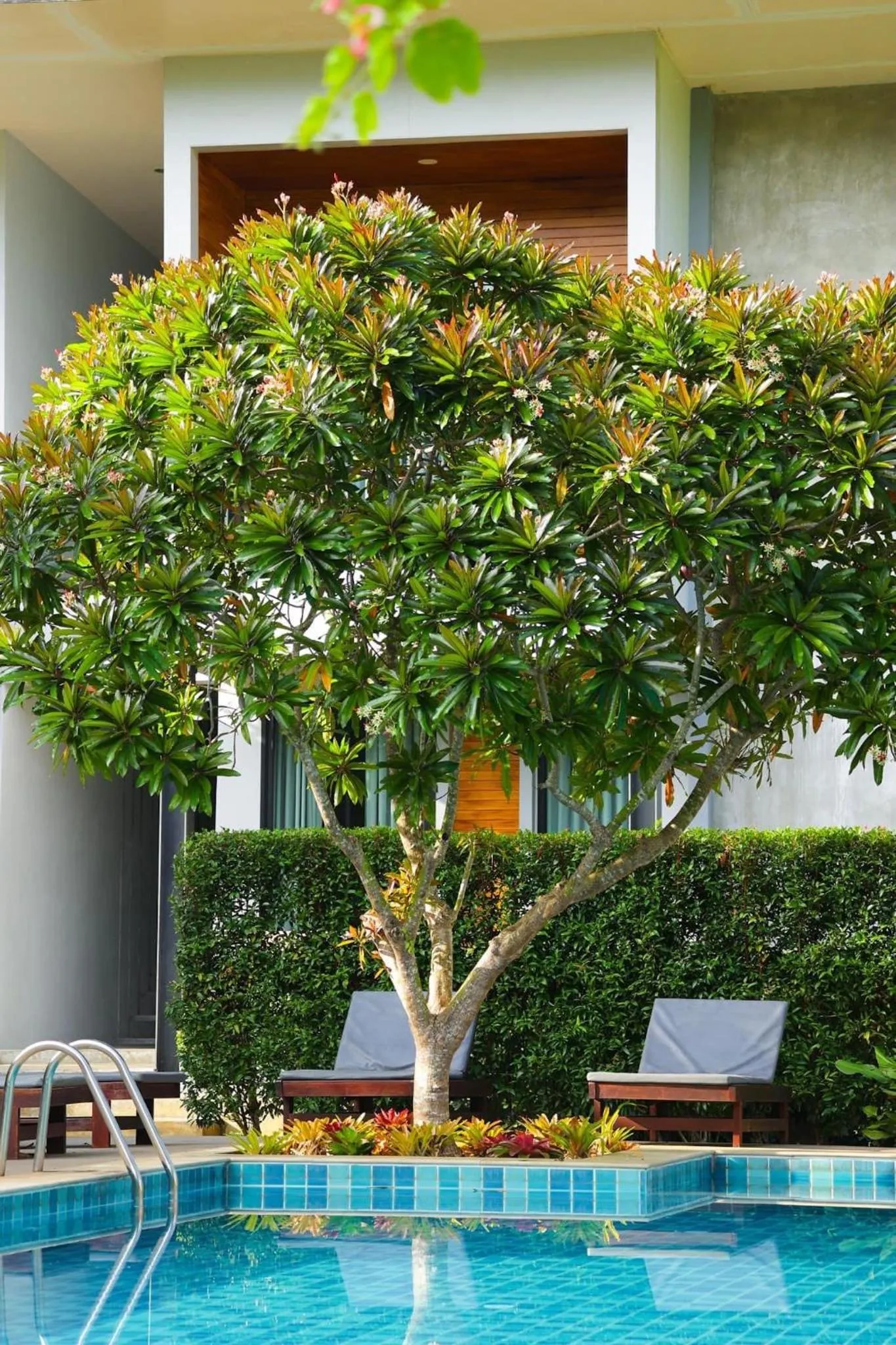 Double Room with Pool View in Evergreen Koh Chang Resort