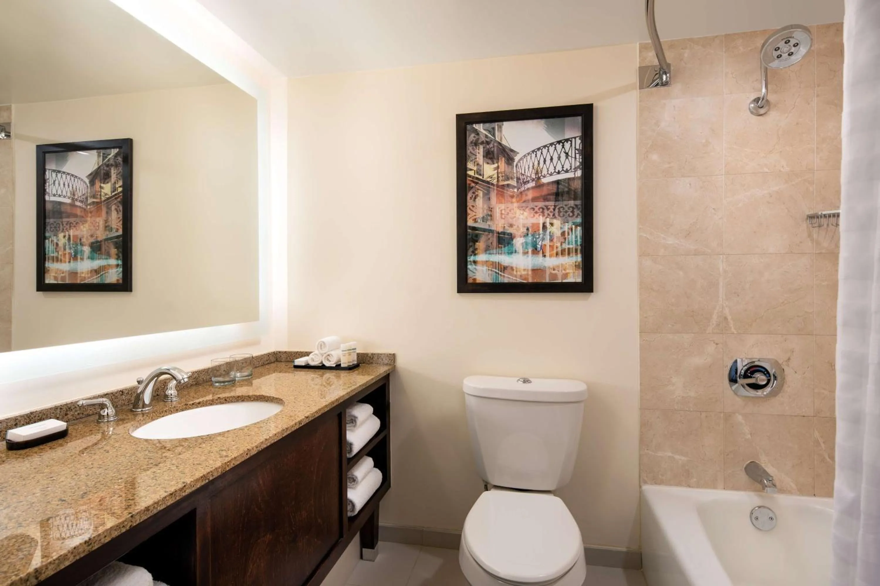 One-Bedroom King Suite with Bath Tub - Disability Accessible in Embassy Suites by Hilton New Orleans Convention Center