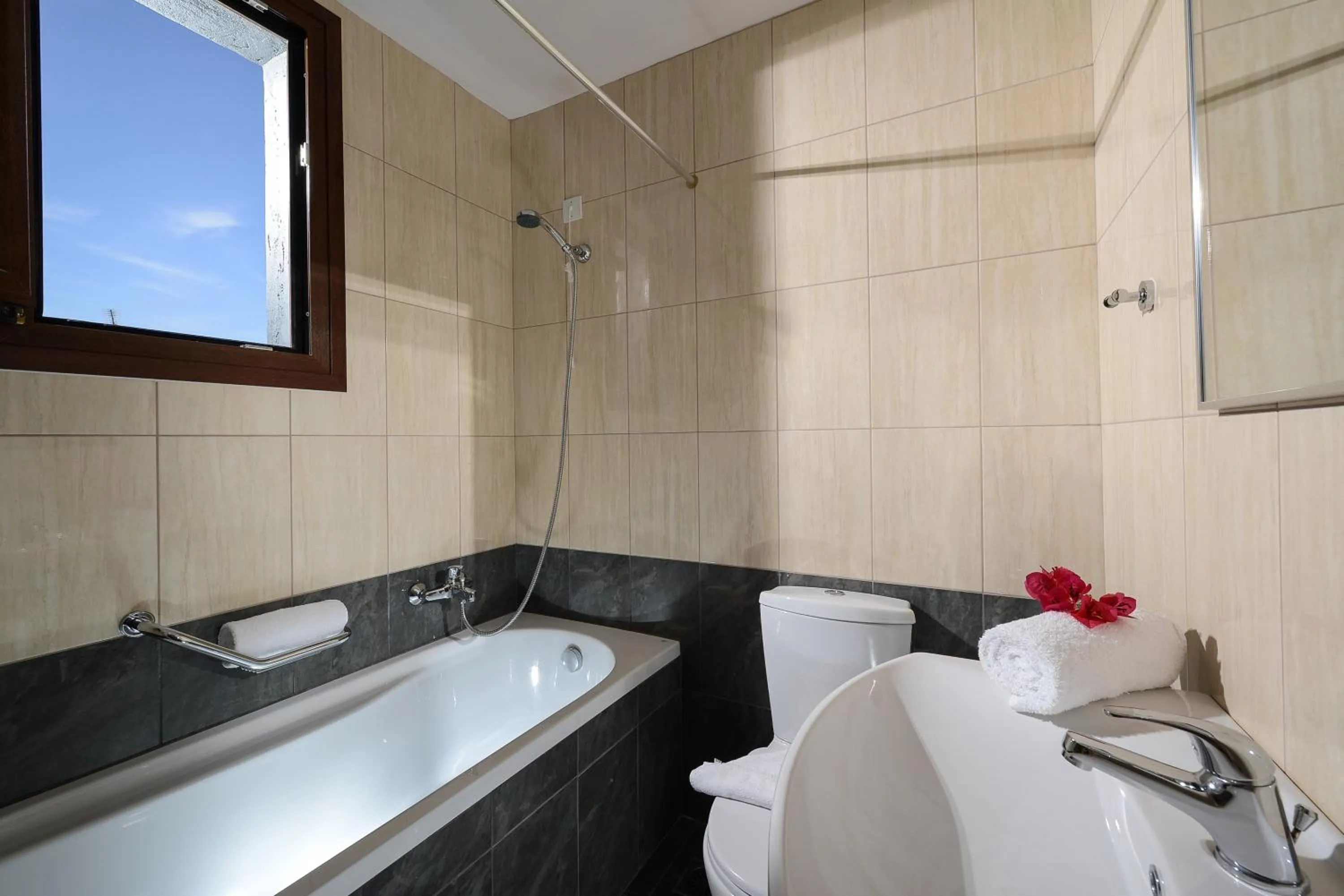 Standard Double or Twin Room in Hersonissos Village Hotel & Bungalows