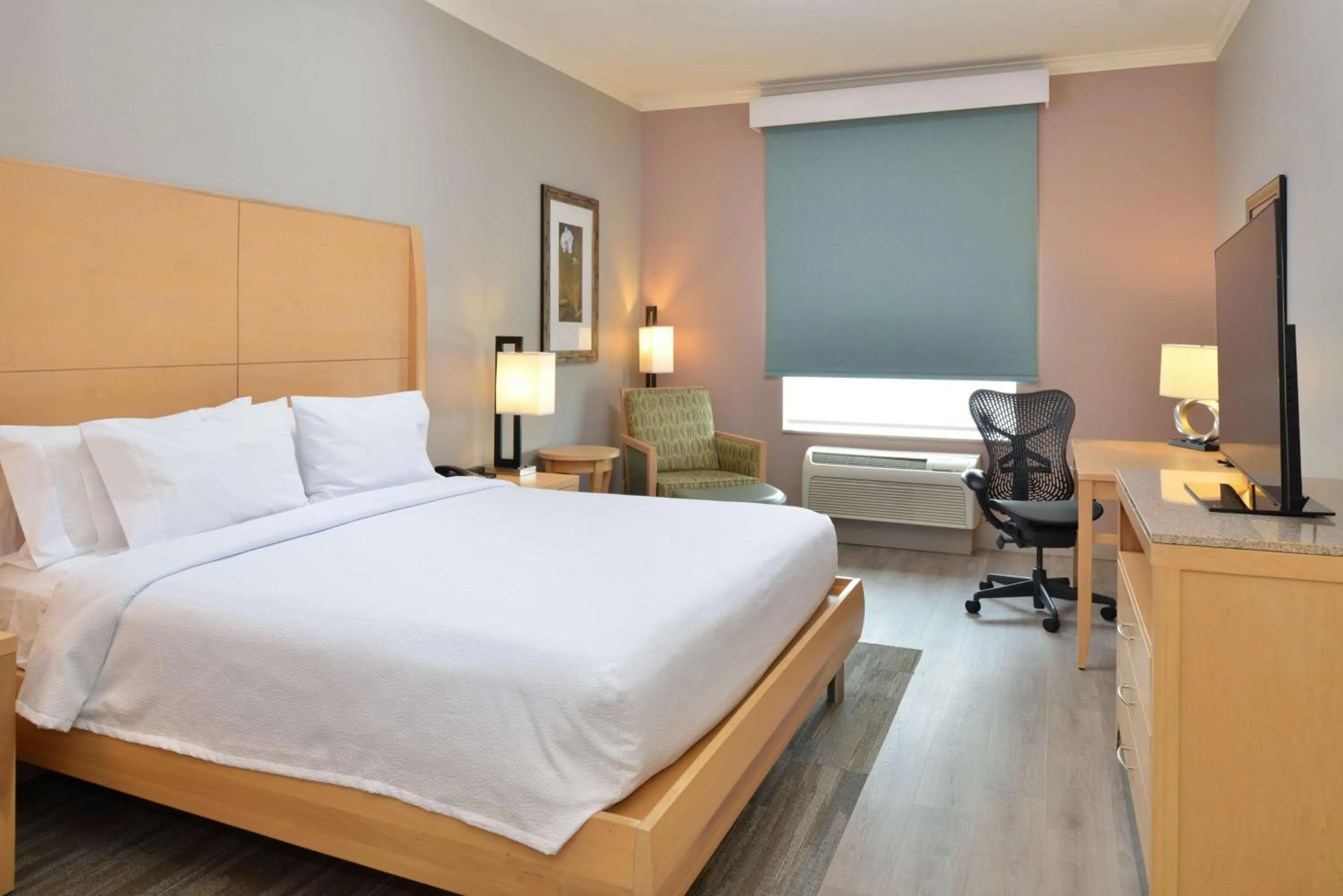 King Room in Hilton Garden Inn Denton