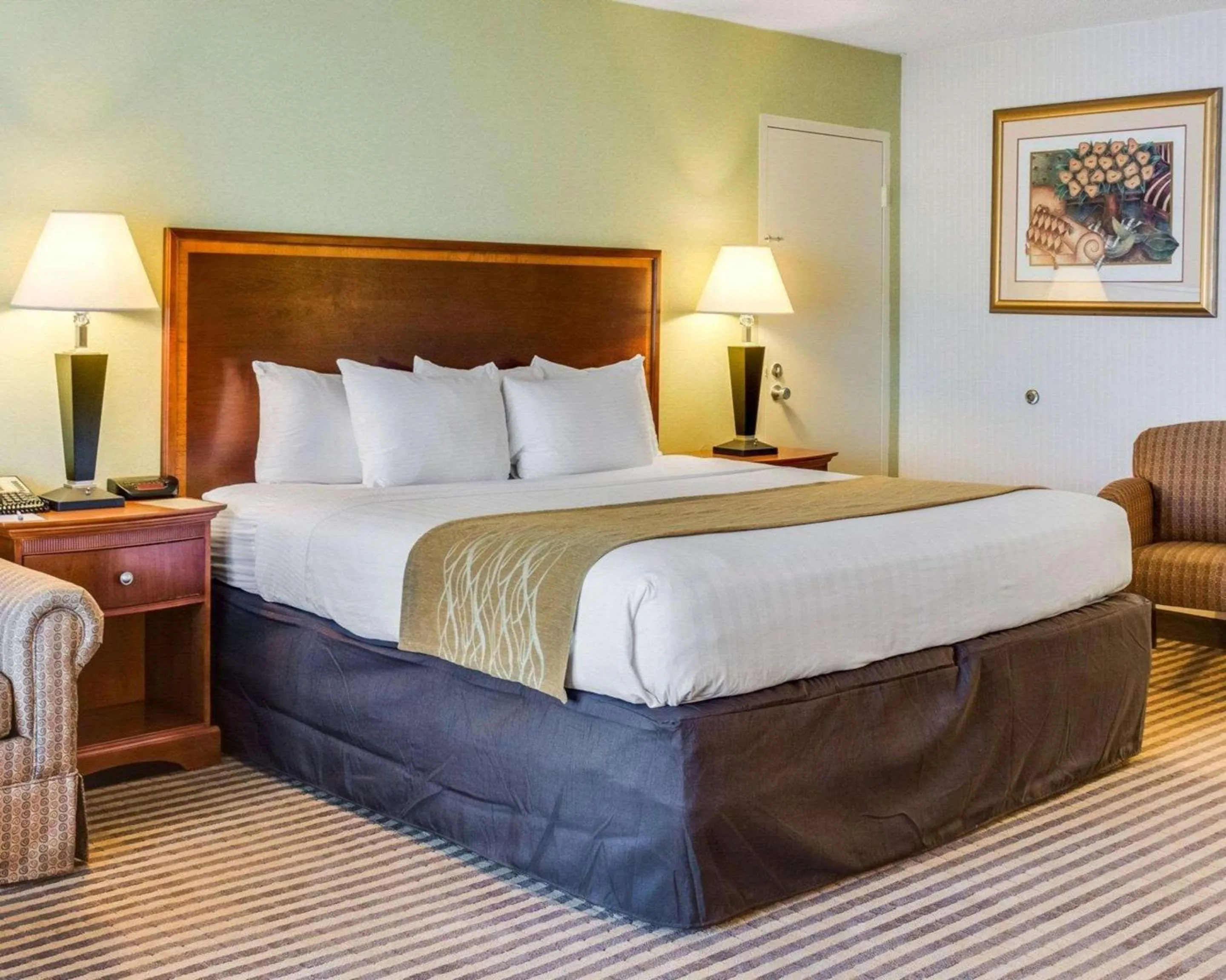 King Room - Non-Smoking in Clarion Inn Fredericksburg North