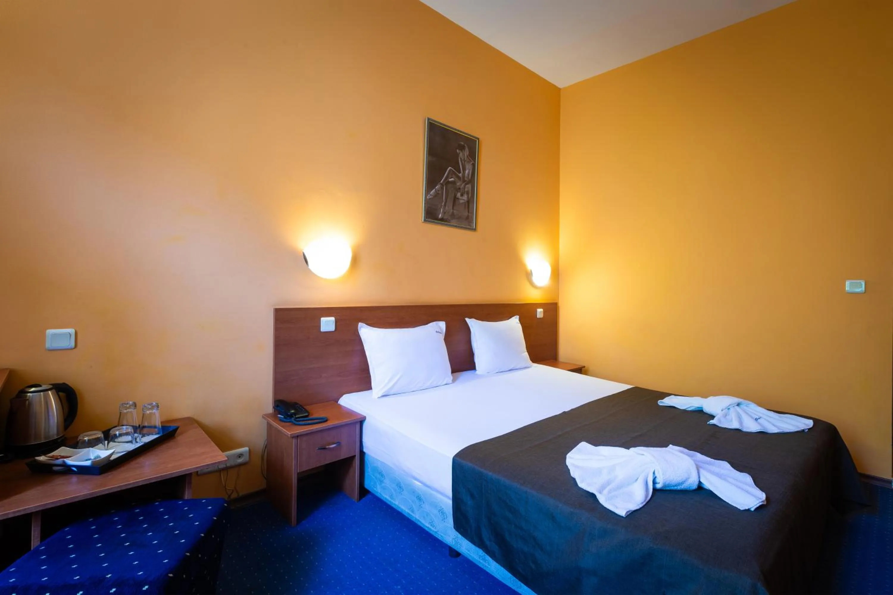 Double Room in Sveta Sofia Hotel