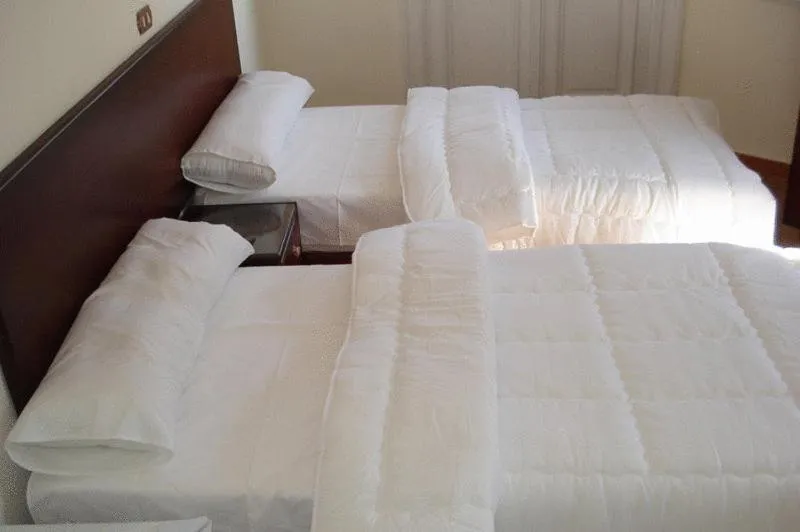 Standard Twin Room in Transit Alexandria Hostel