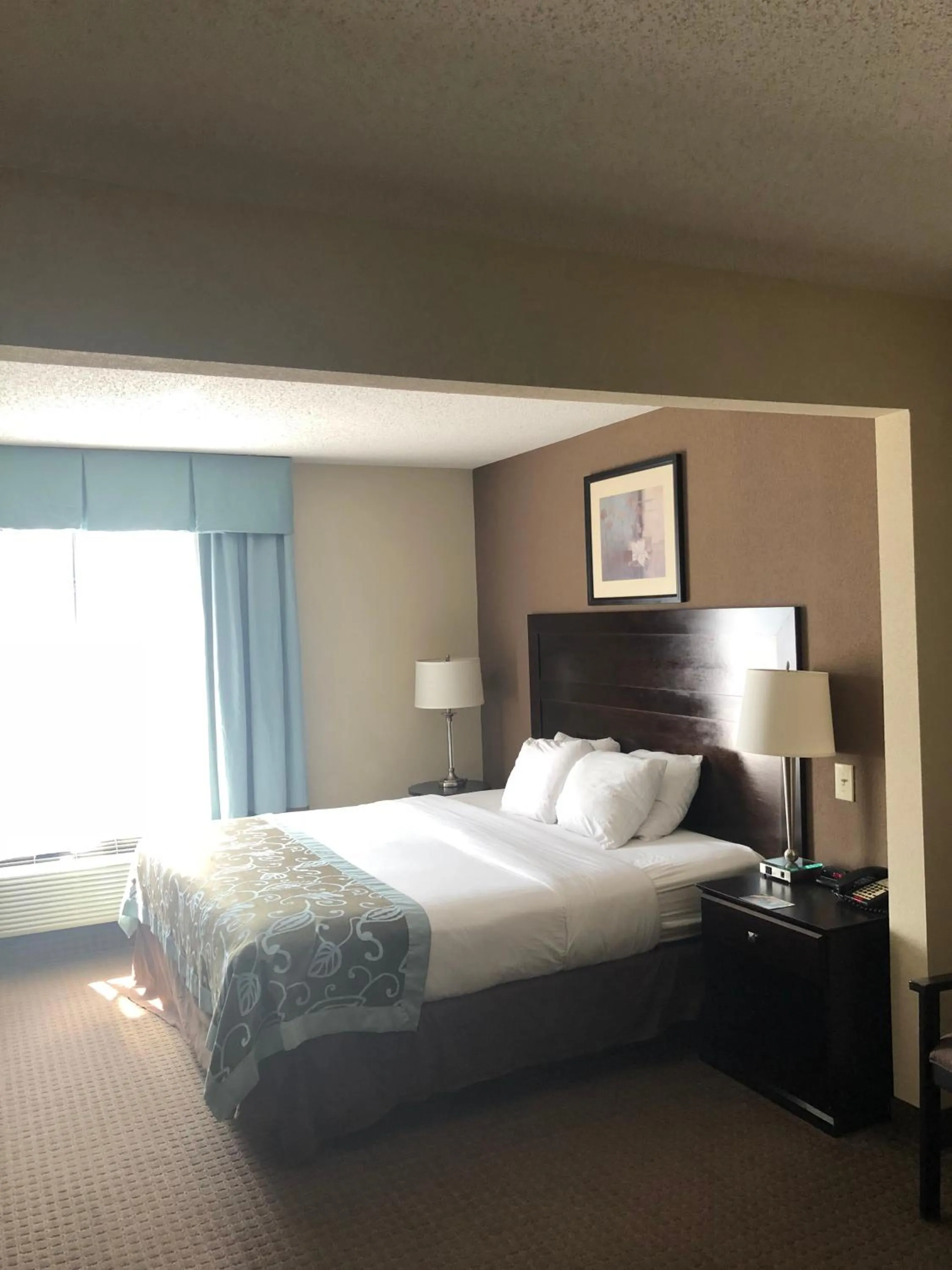 Deluxe King Studio Suite - Non-Smoking in Wingate by Wyndham Erlanger - Florence - Cincinnati South