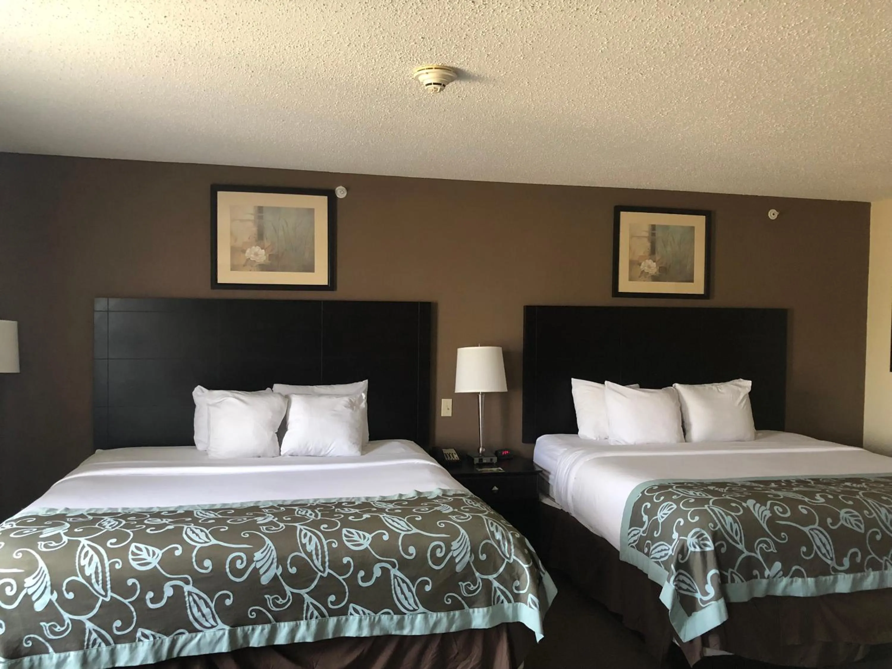 Queen Room with Two Queen Beds - Non-Smoking in Wingate by Wyndham Erlanger - Florence - Cincinnati South