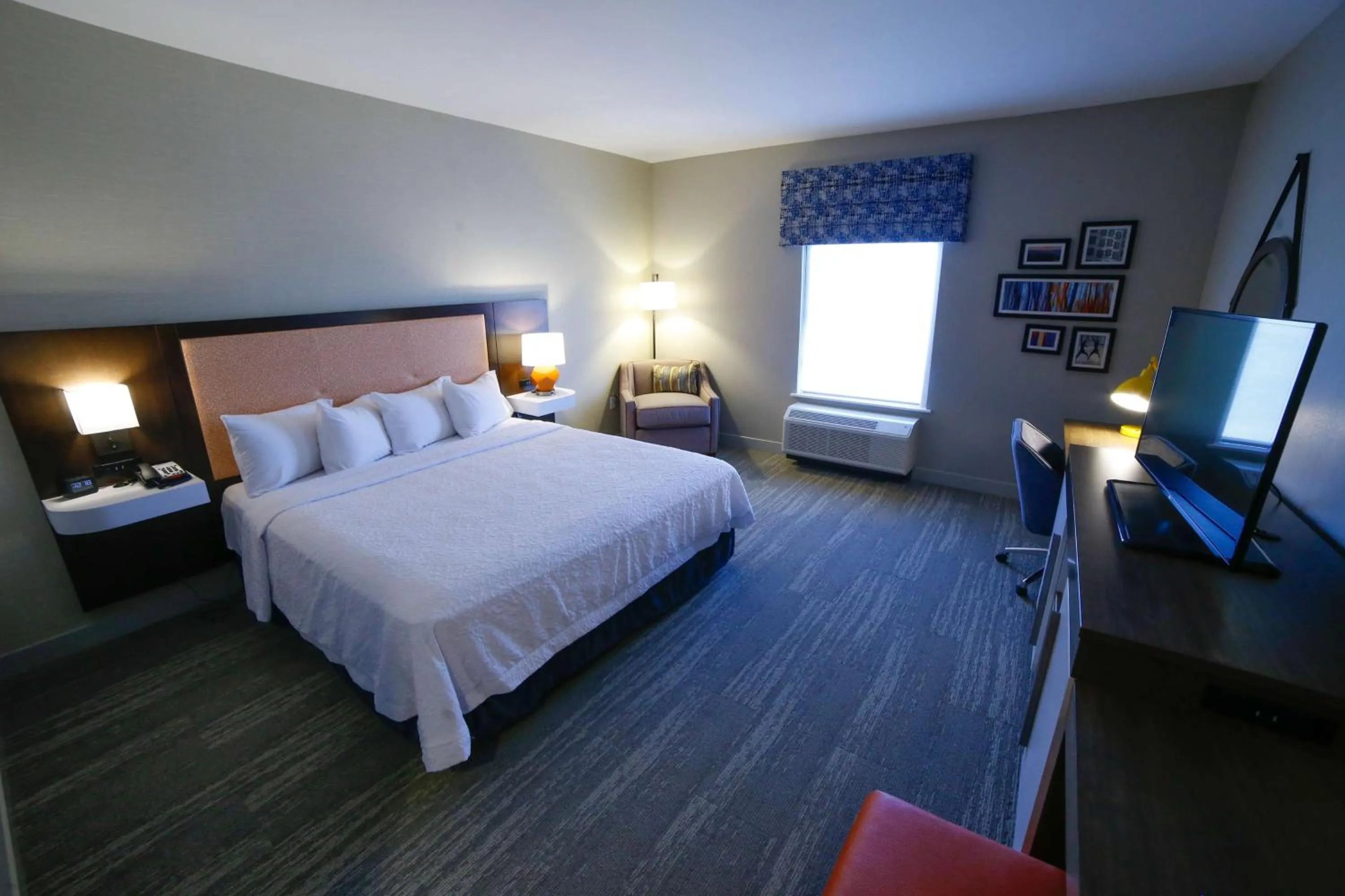 King Room - Hearing Access/Non-Smoking in Hampton Inn & Suites Forest City