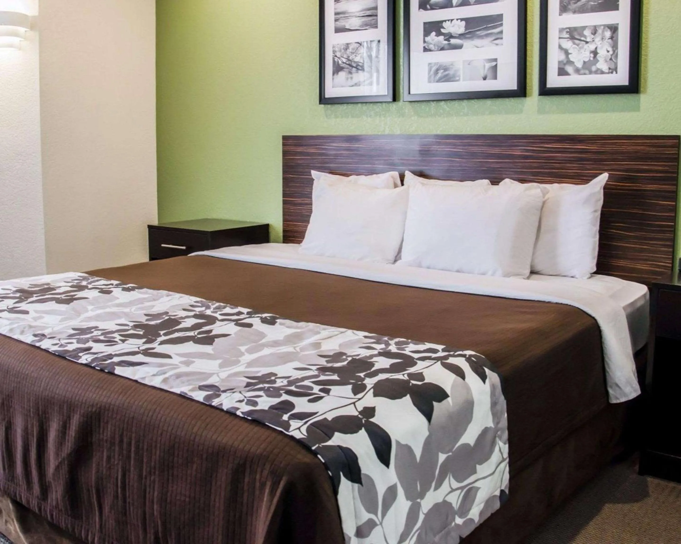 King Room in Sleep Inn Concord - Kannapolis