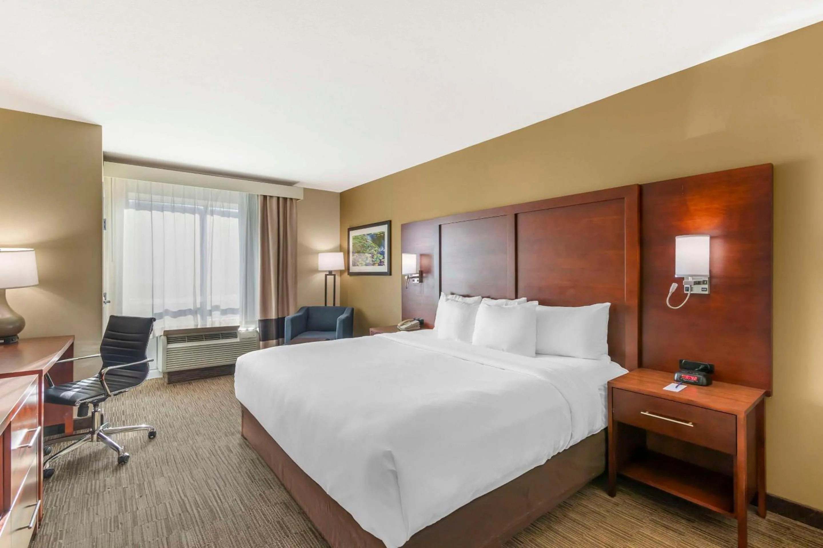 King Room - Non-Smoking in Comfort Inn & Suites