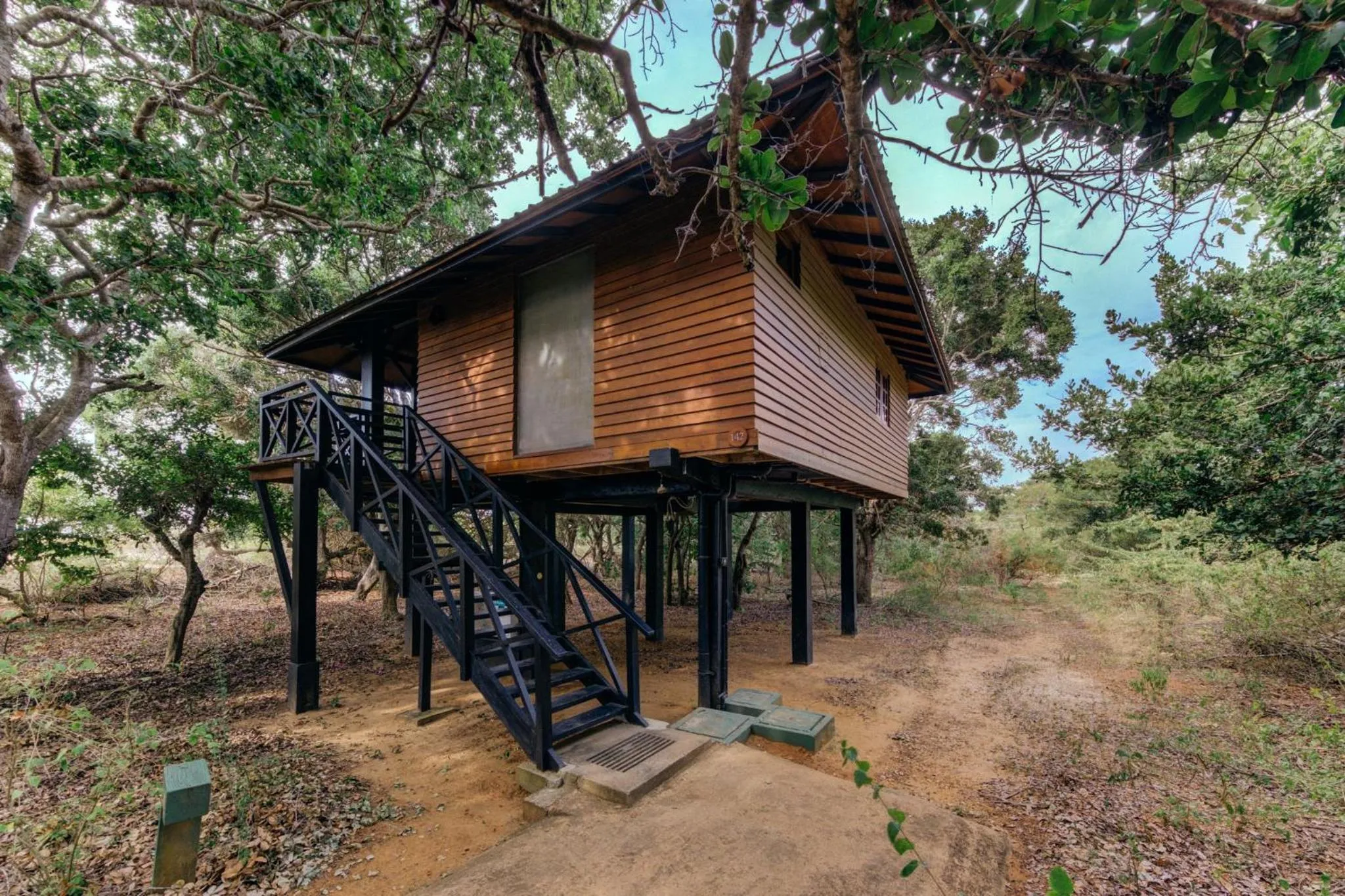 Beach Chalet King - single occupancy - 10% off Safari | Complimentary cocktail each if reserved during Stargazing experience in Cinnamon Wild Yala