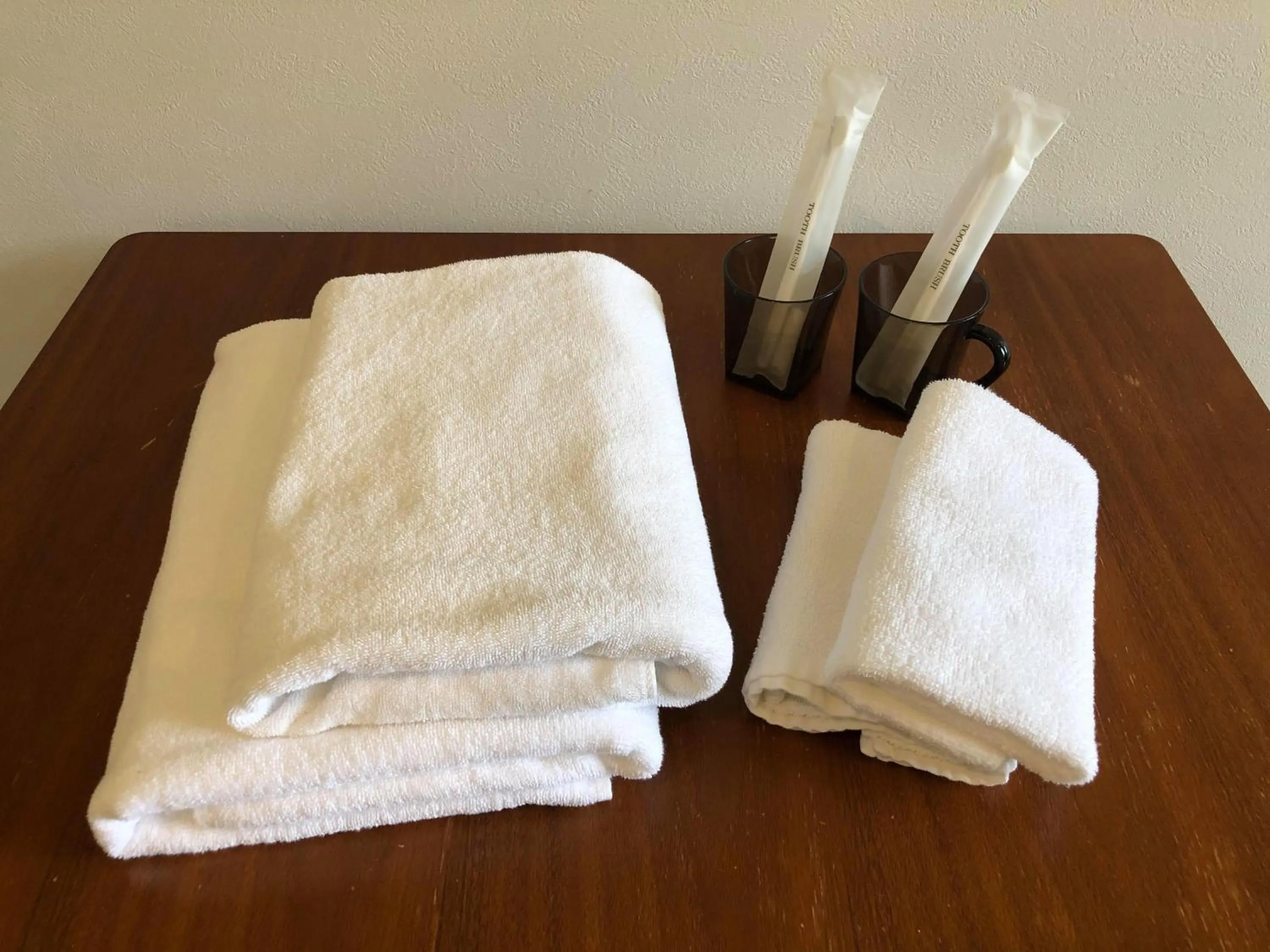 Standard Twin Room - single occupancy in The Little Garden