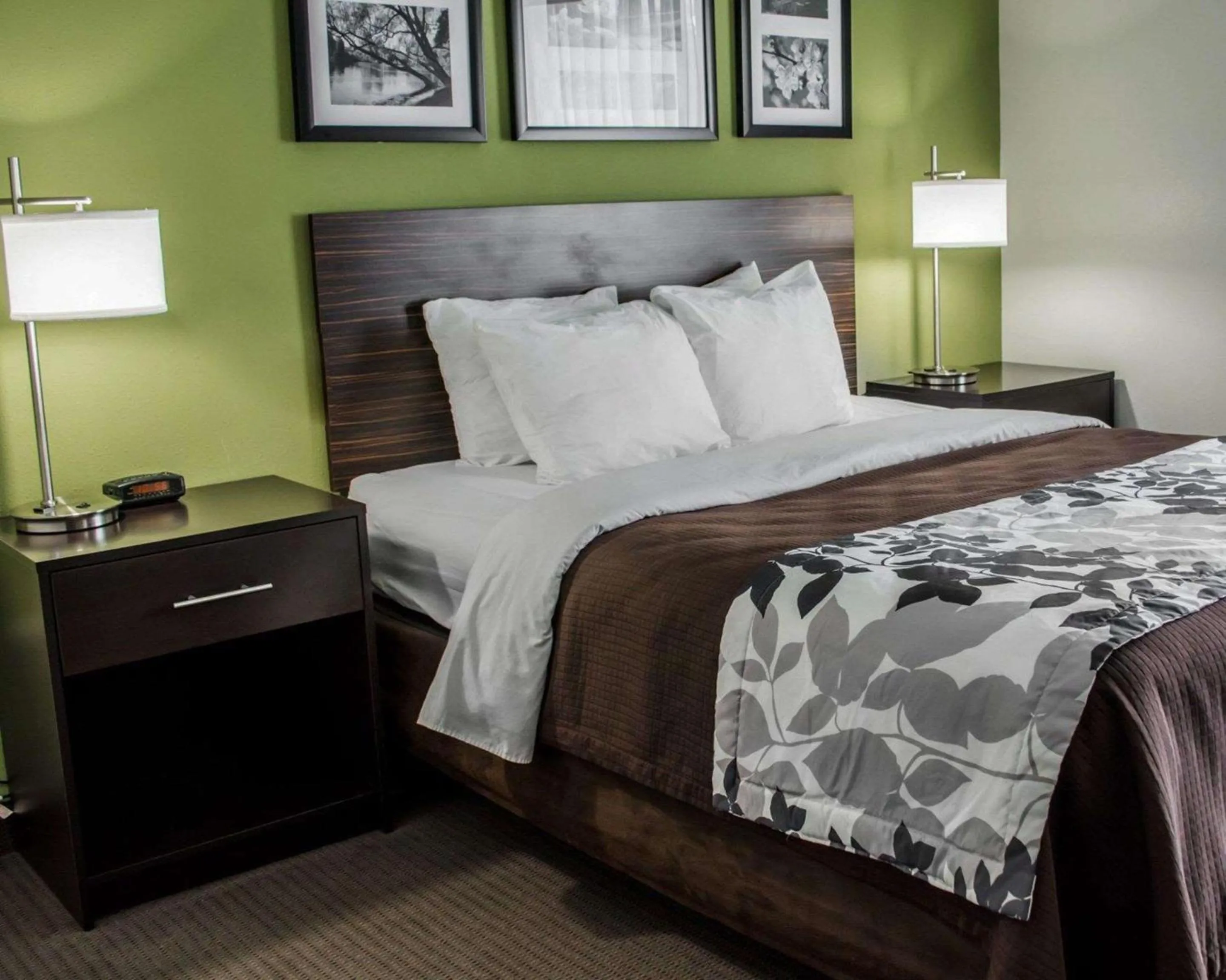 Queen Room - Disability Access/Non-Smoking in Sleep Inn Historic