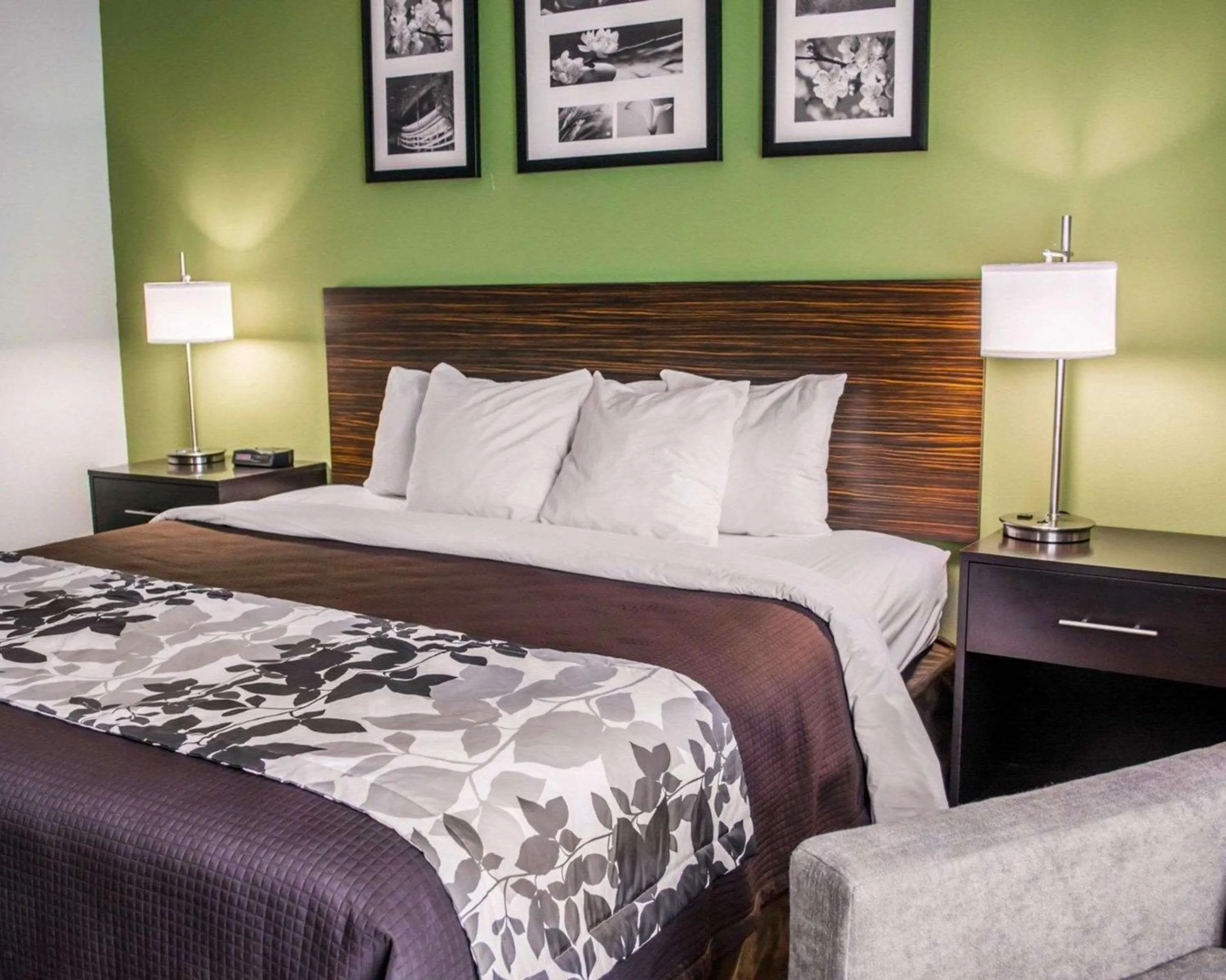 King Room - Non-Smoking in Sleep Inn Historic