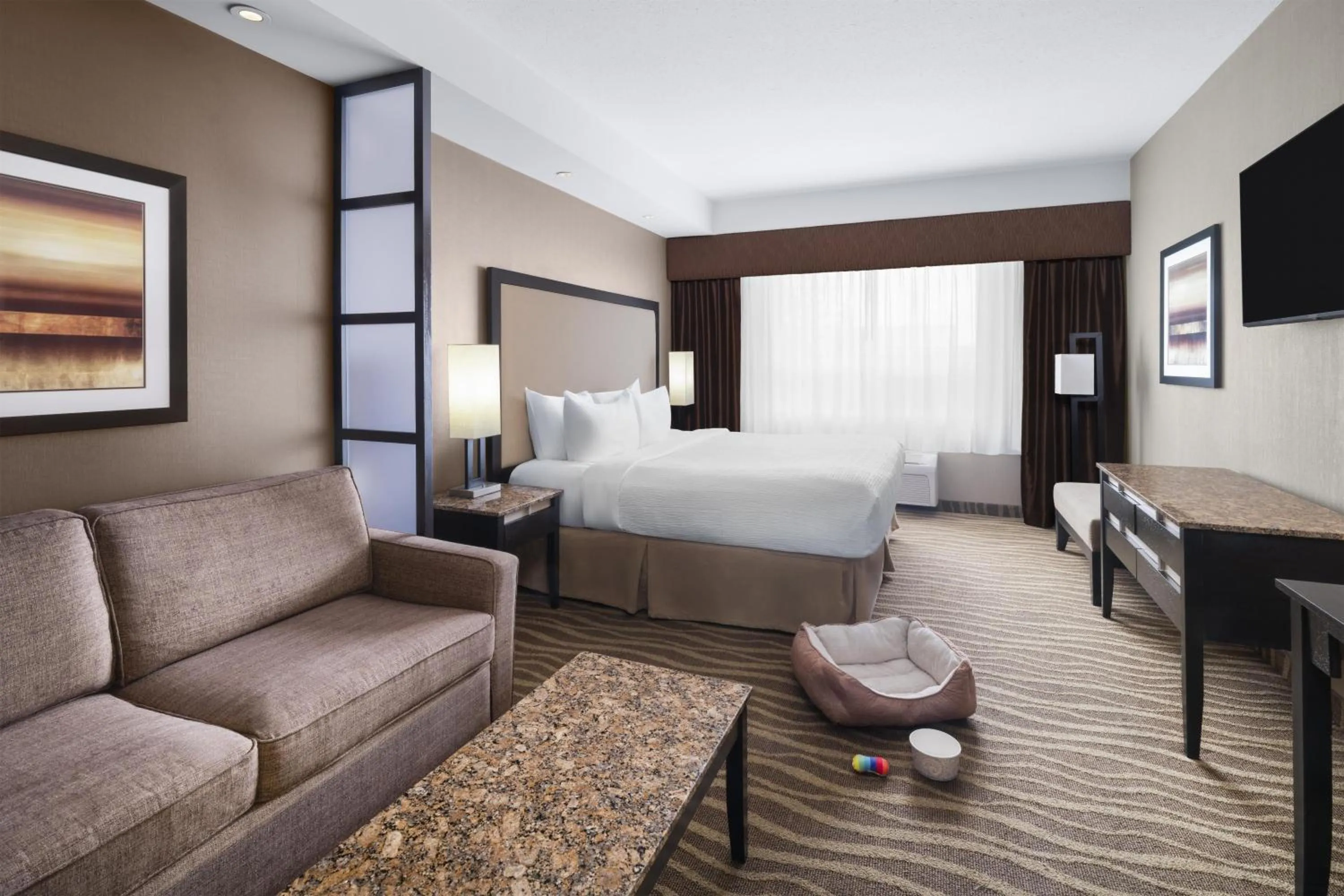 King Room with Roll-In Shower and Sofa Bed - Ground Floor/Pet Friendly/Non-Smoking in Best Western Premier Freeport Inn Calgary Airport