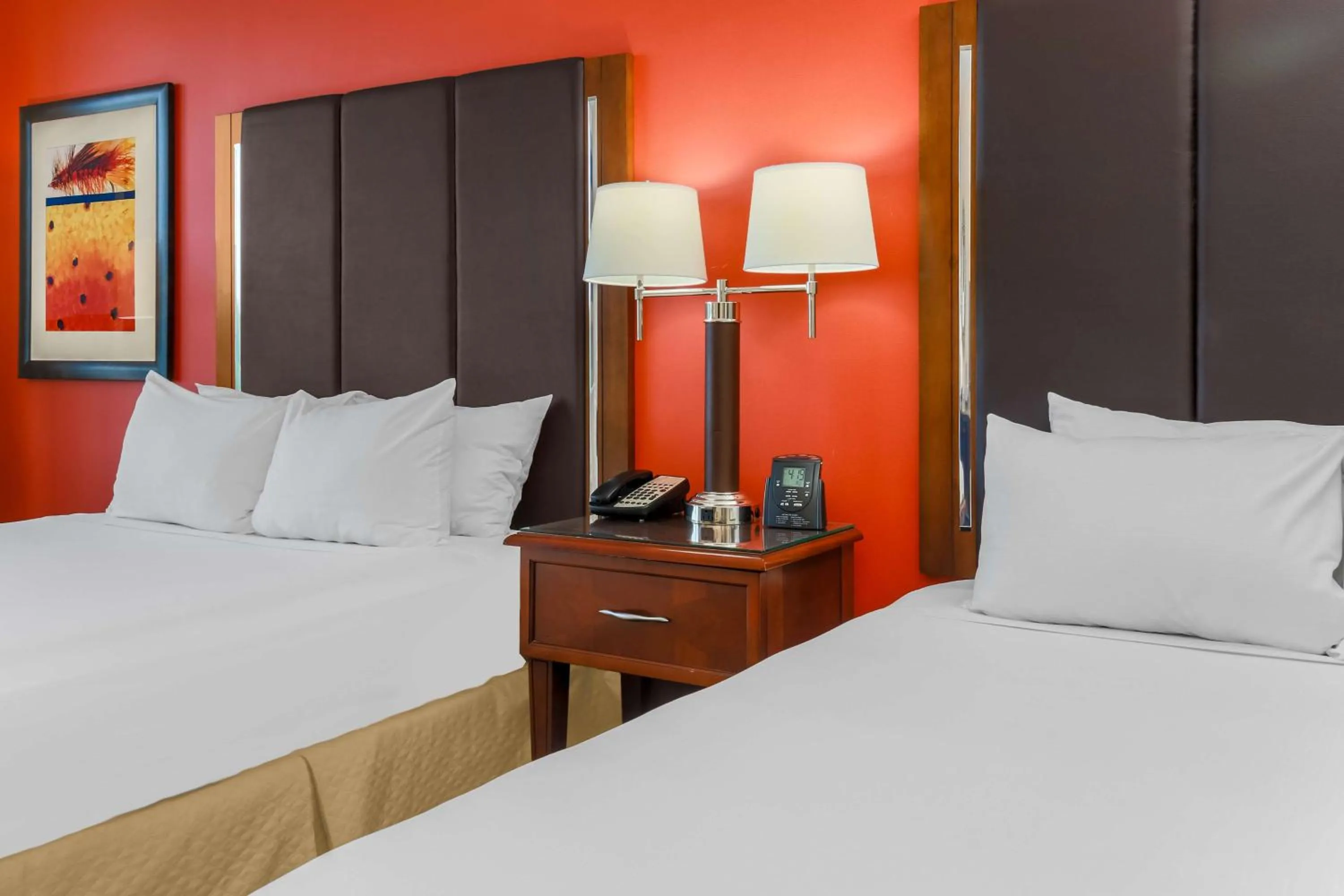 Queen Room with Two Queen Beds - High Floor in Hilton Branson Convention Center