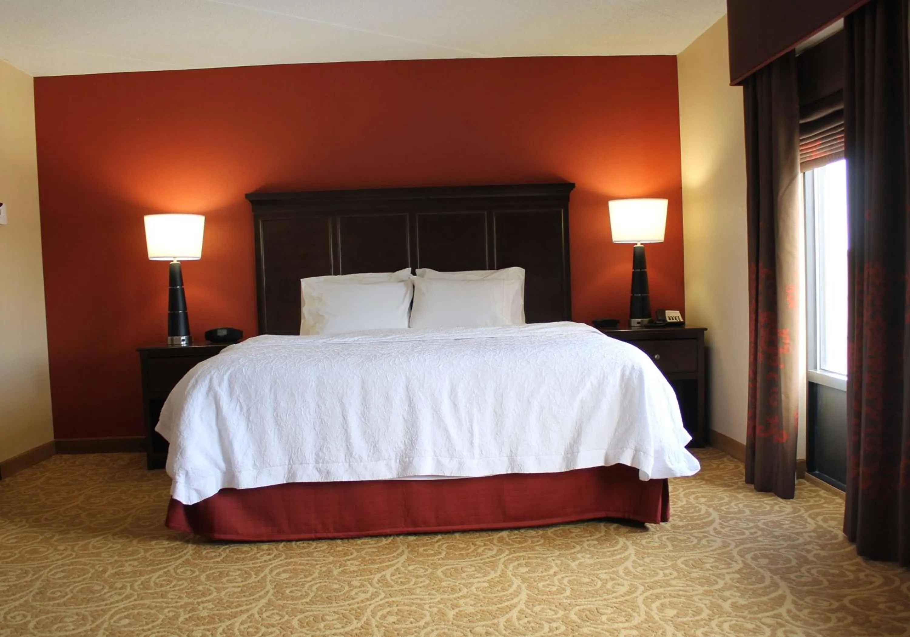 One-Bedroom King Suite with Whirlpool - Non-Smoking  in Hampton Inn Gettysburg