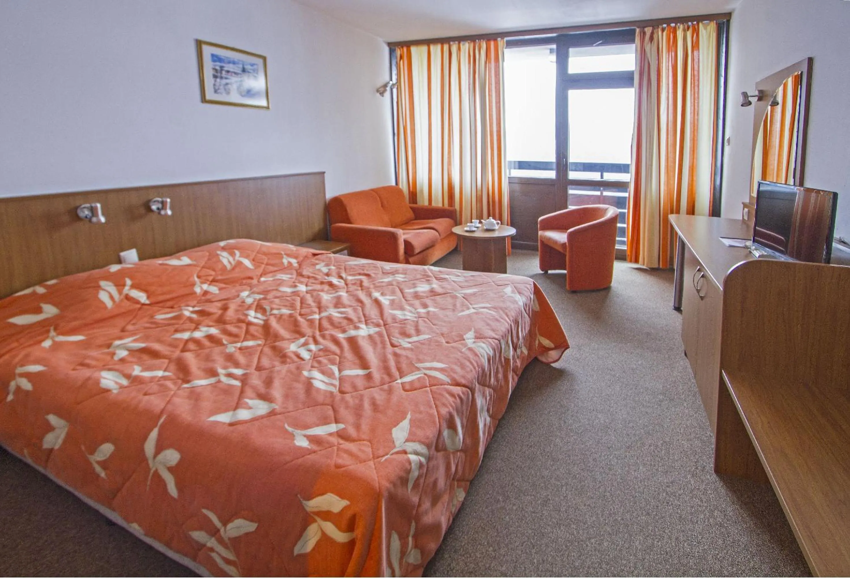 Standard Single Room in Hotel Samokov