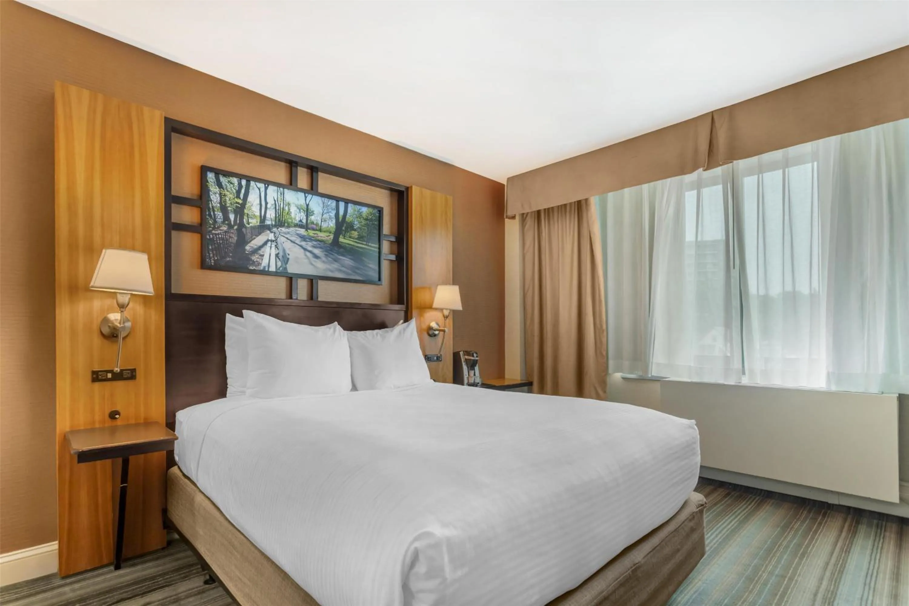 Queen Room with Roll-In Shower - Disability Access in Best Western Queens Gold Coast