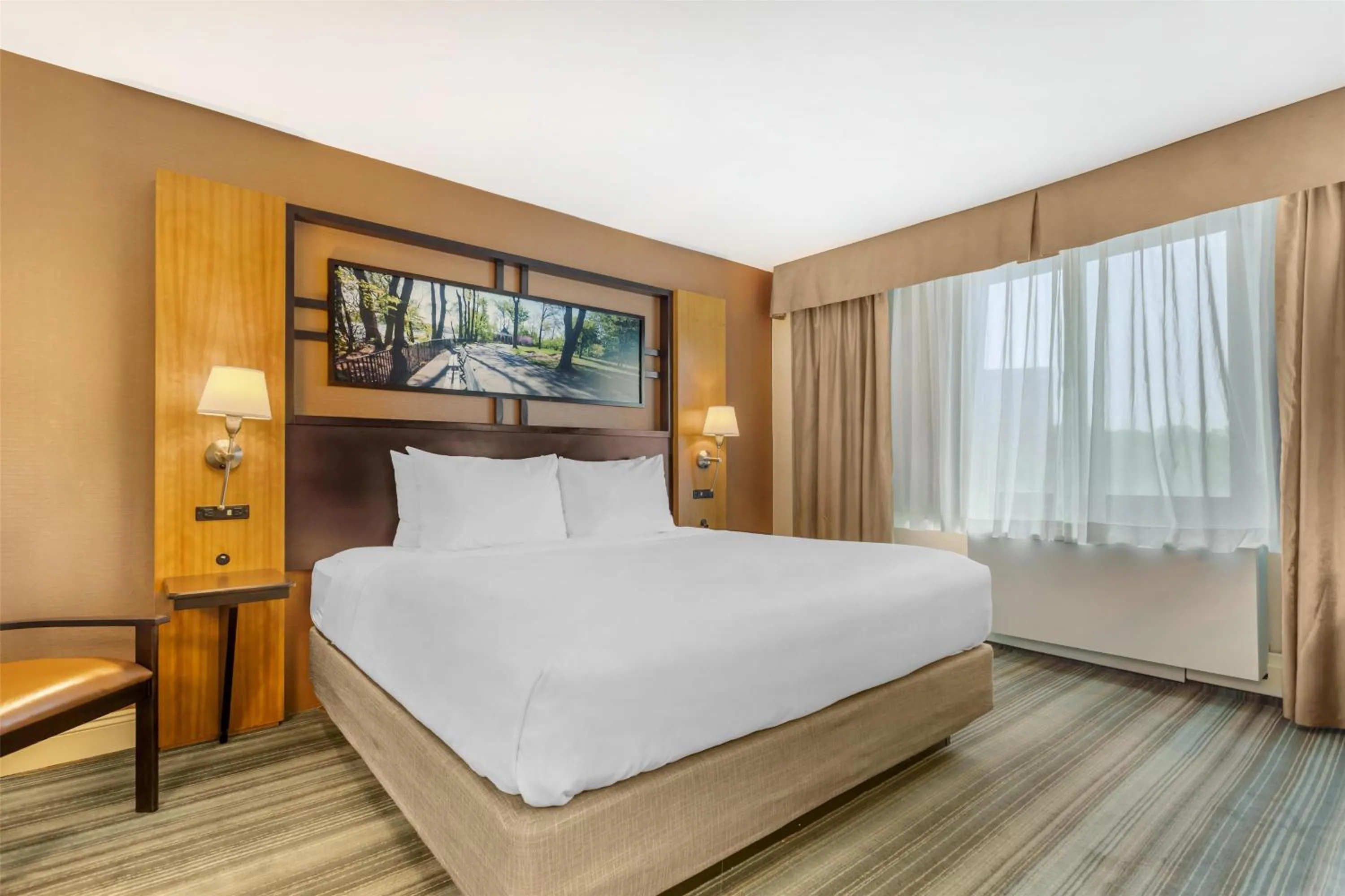 King Room in Best Western Queens Gold Coast