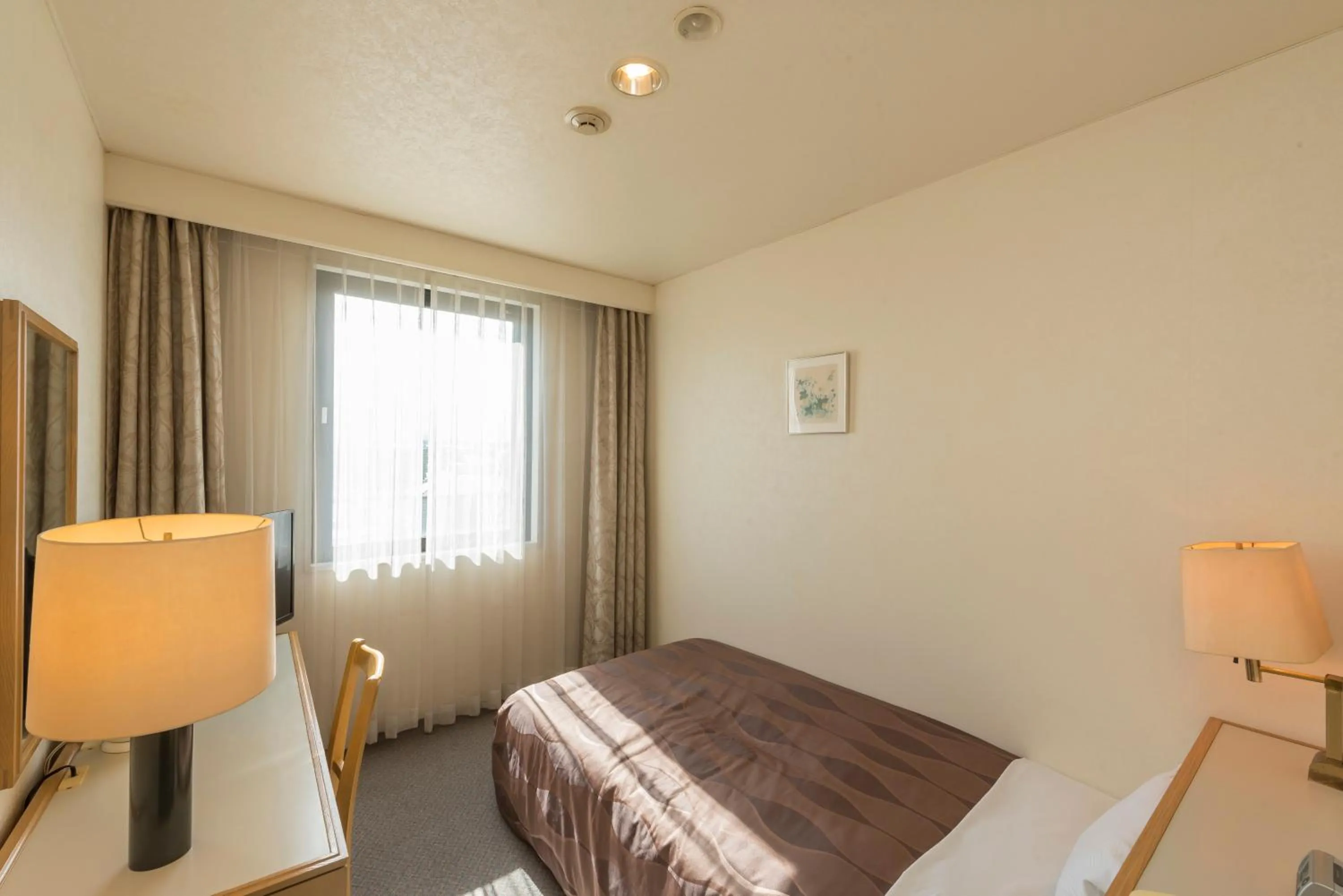 Single Room - Non-Smoking in Sky Hotel Namerikawa