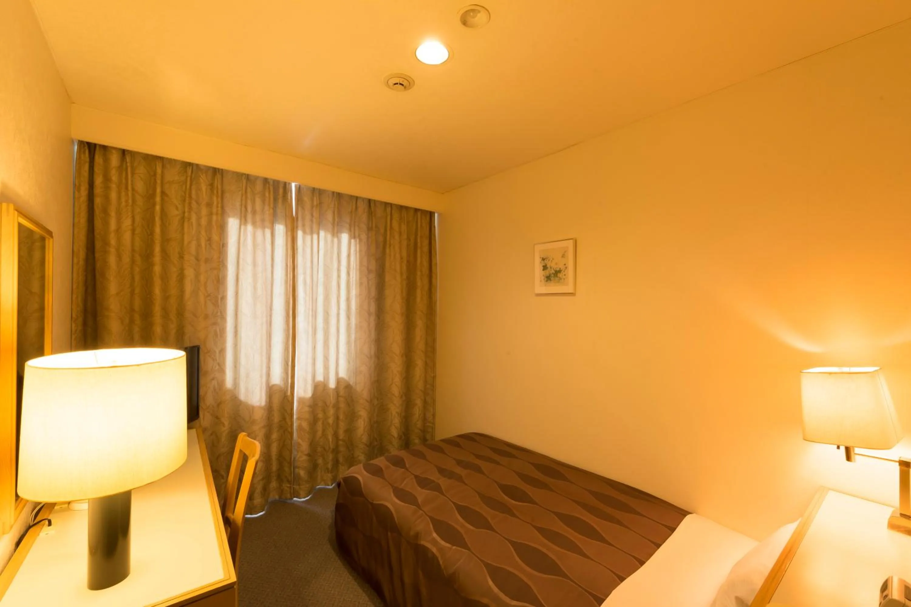 Single Room - Smoking in Sky Hotel Namerikawa