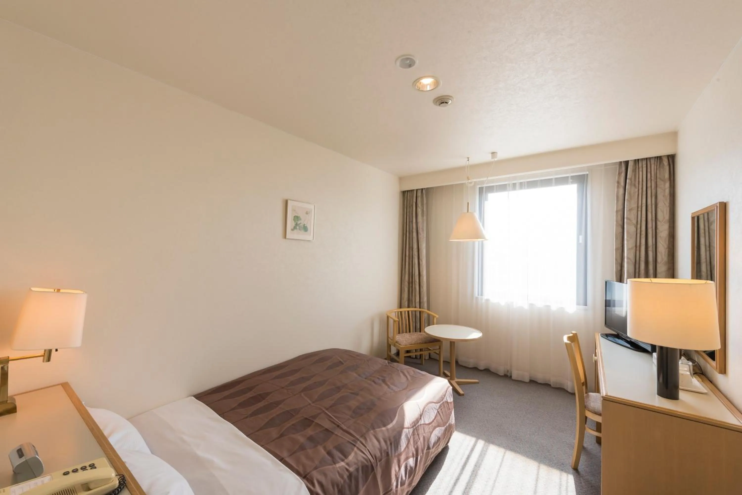 Double Room with Small Double Bed - single occupancy - Non-Smoking in Sky Hotel Namerikawa