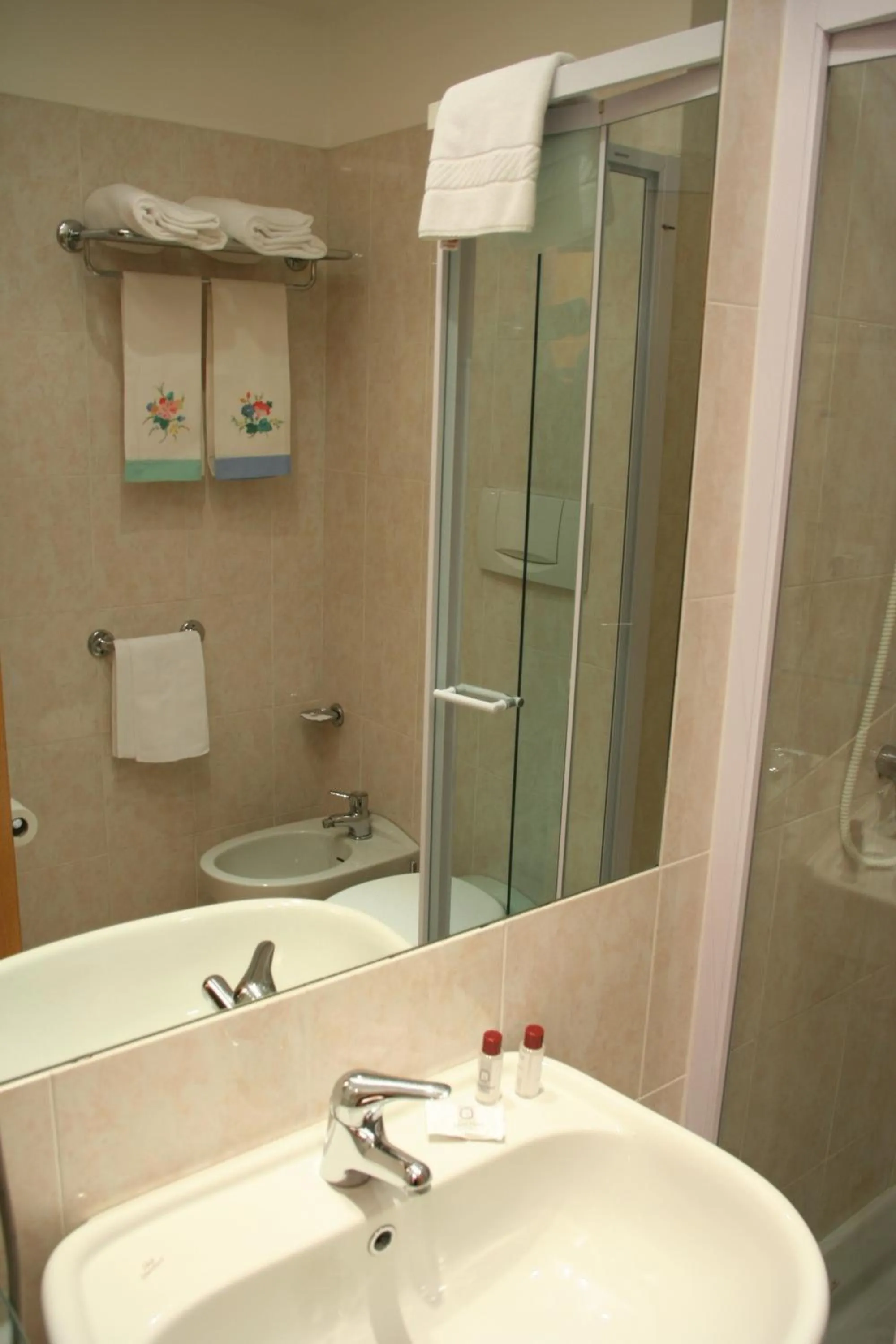 Double Room in Albert Hotel