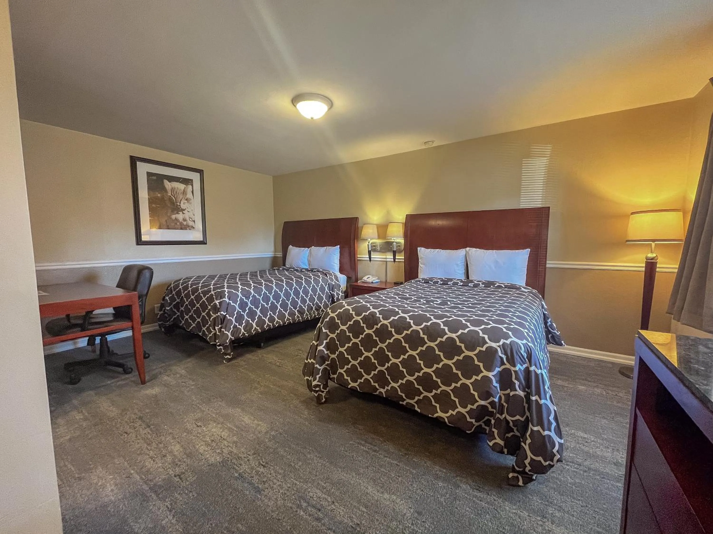 Double Room Smoking in Alpine Inn & Suites Rockford