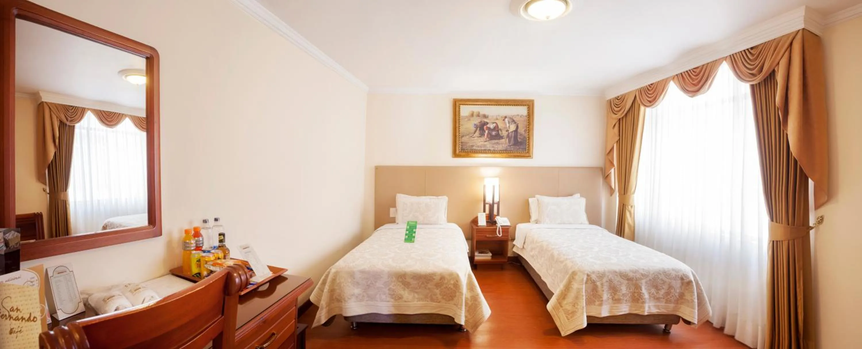 Standard Double Room in Hotel Fernando Plaza