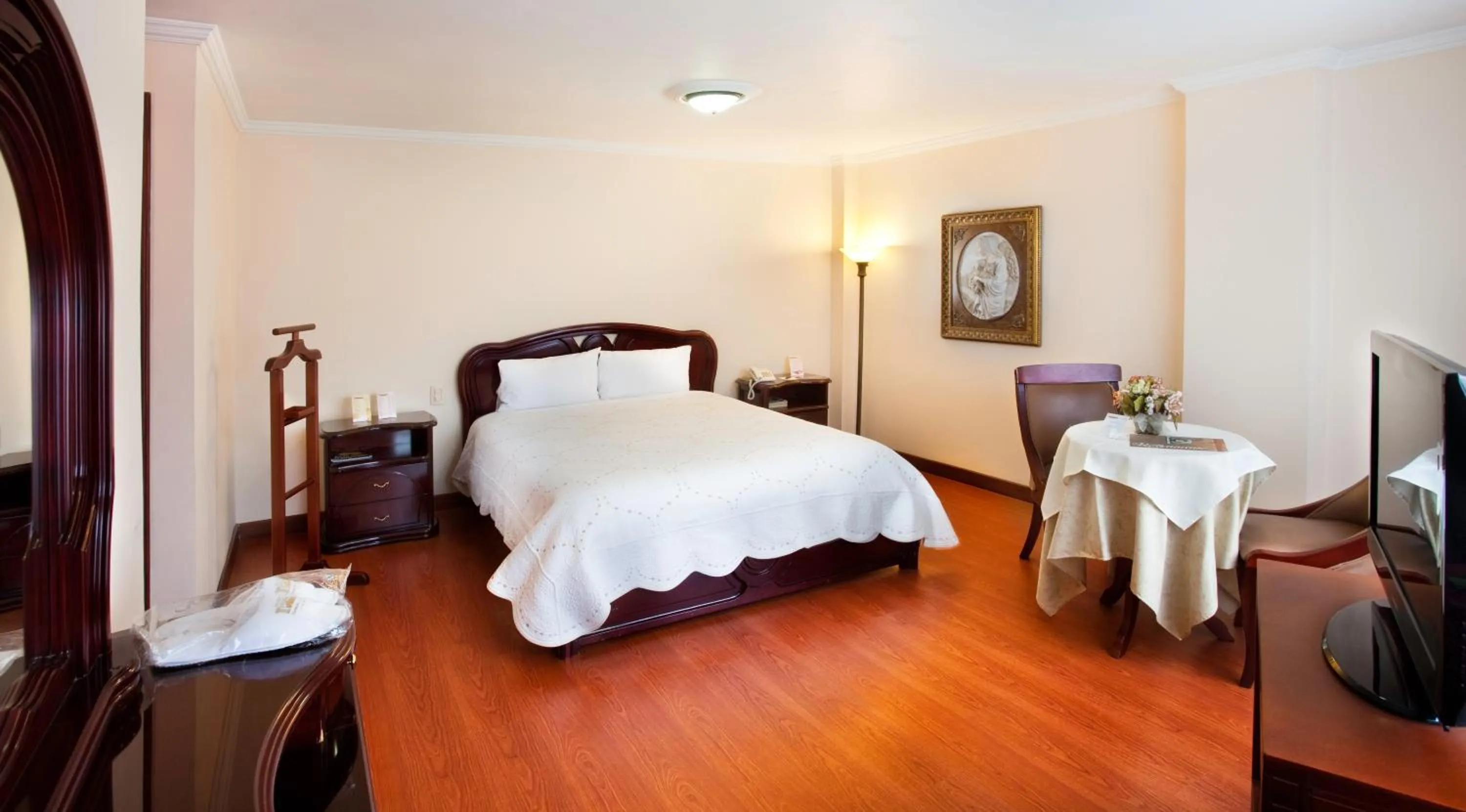 Superior Single Room - single occupancy in Hotel Fernando Plaza