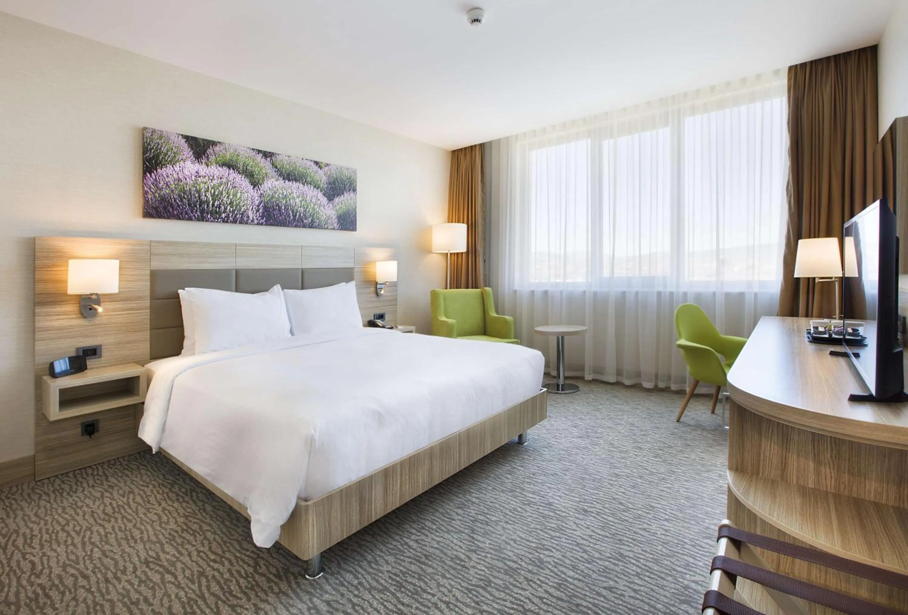 King Room in Hilton Garden Inn Isparta