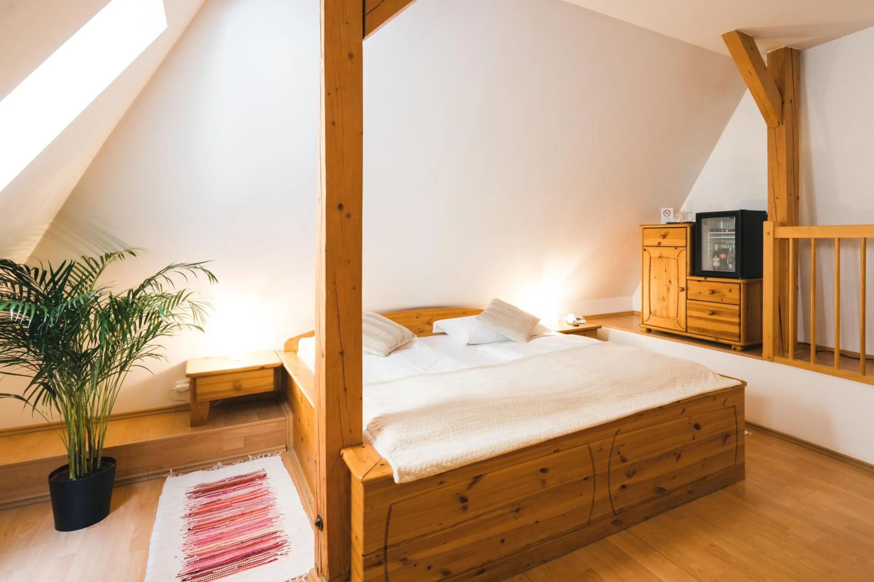 Double Room in Hotel Zlaty Andel