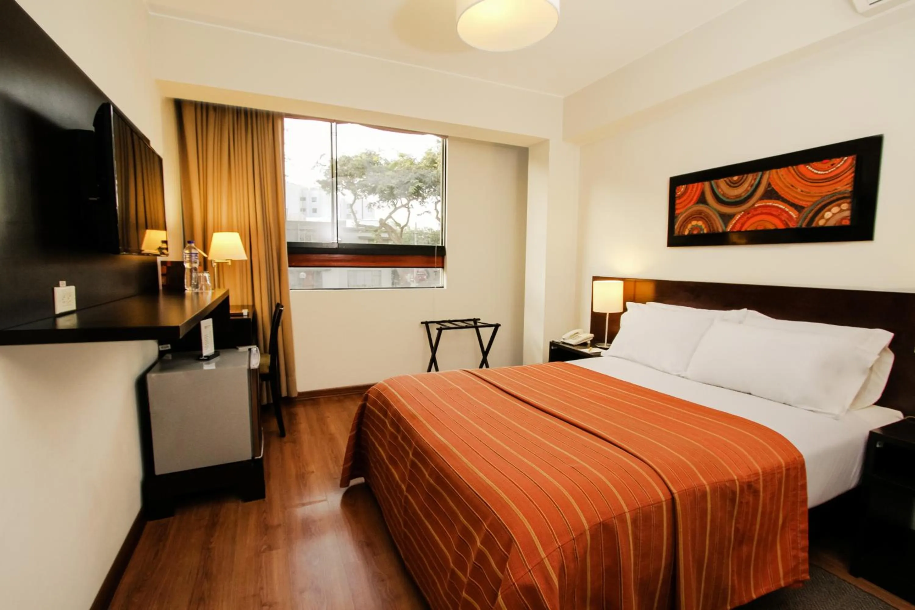 Single Room in Girasoles Hotel