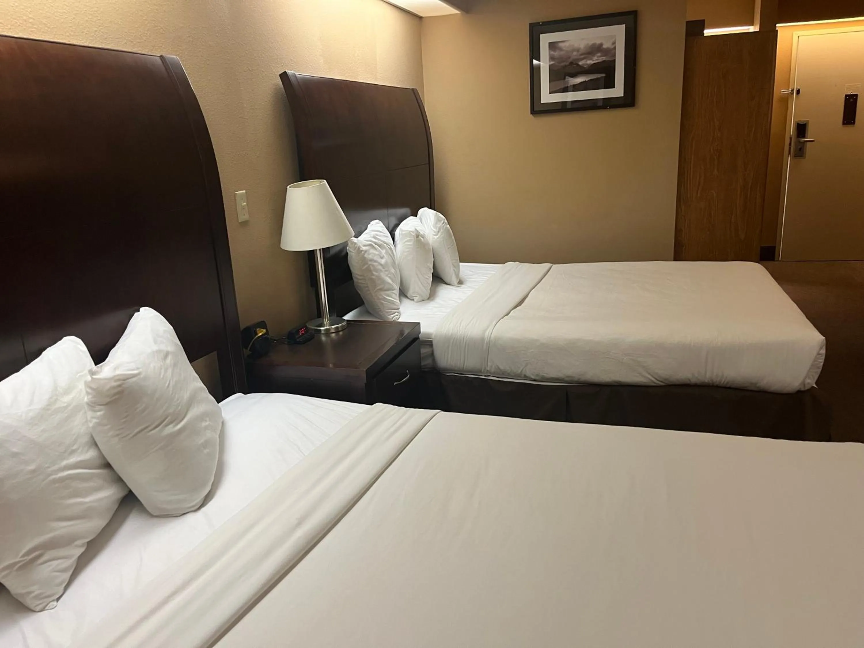 Queen Room with Two Queen Beds - single occupancy in Americas Best Value Inn Kalispell