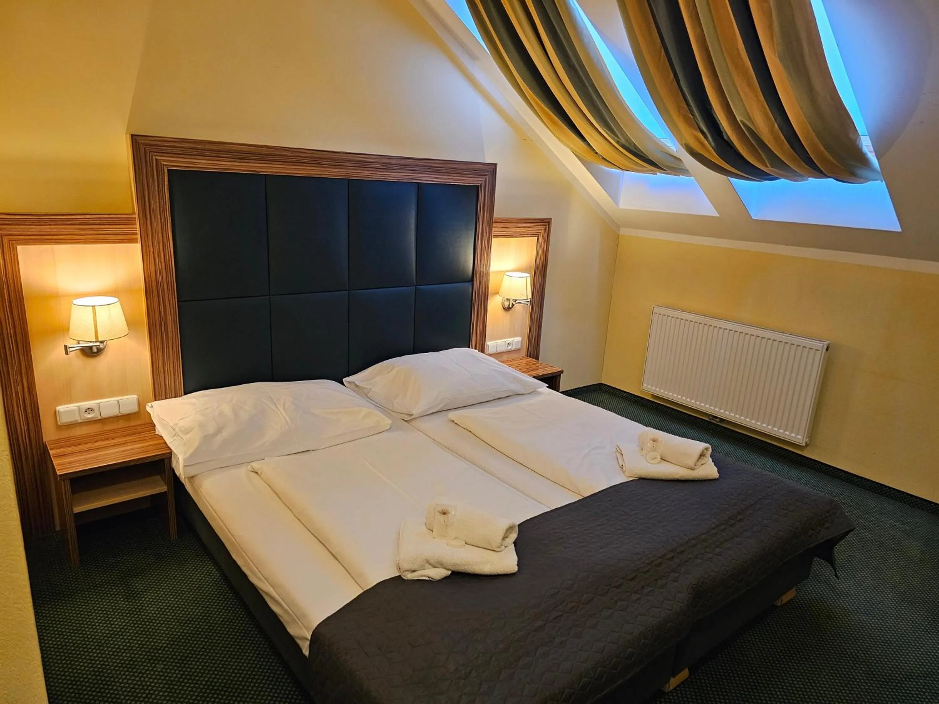 Double or Twin Room in Hotel U Divadla