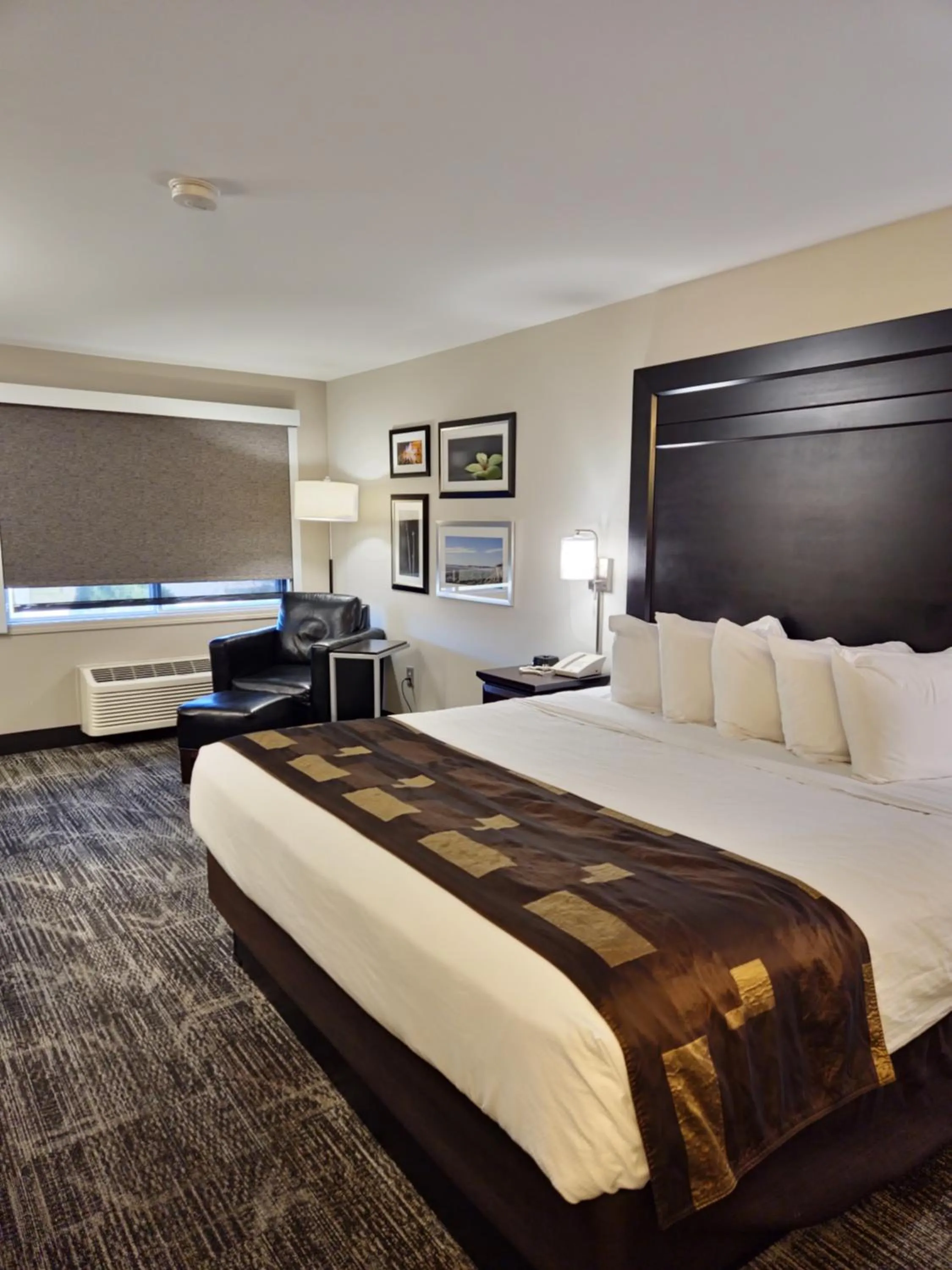 King Room in Kelly Inn Billings