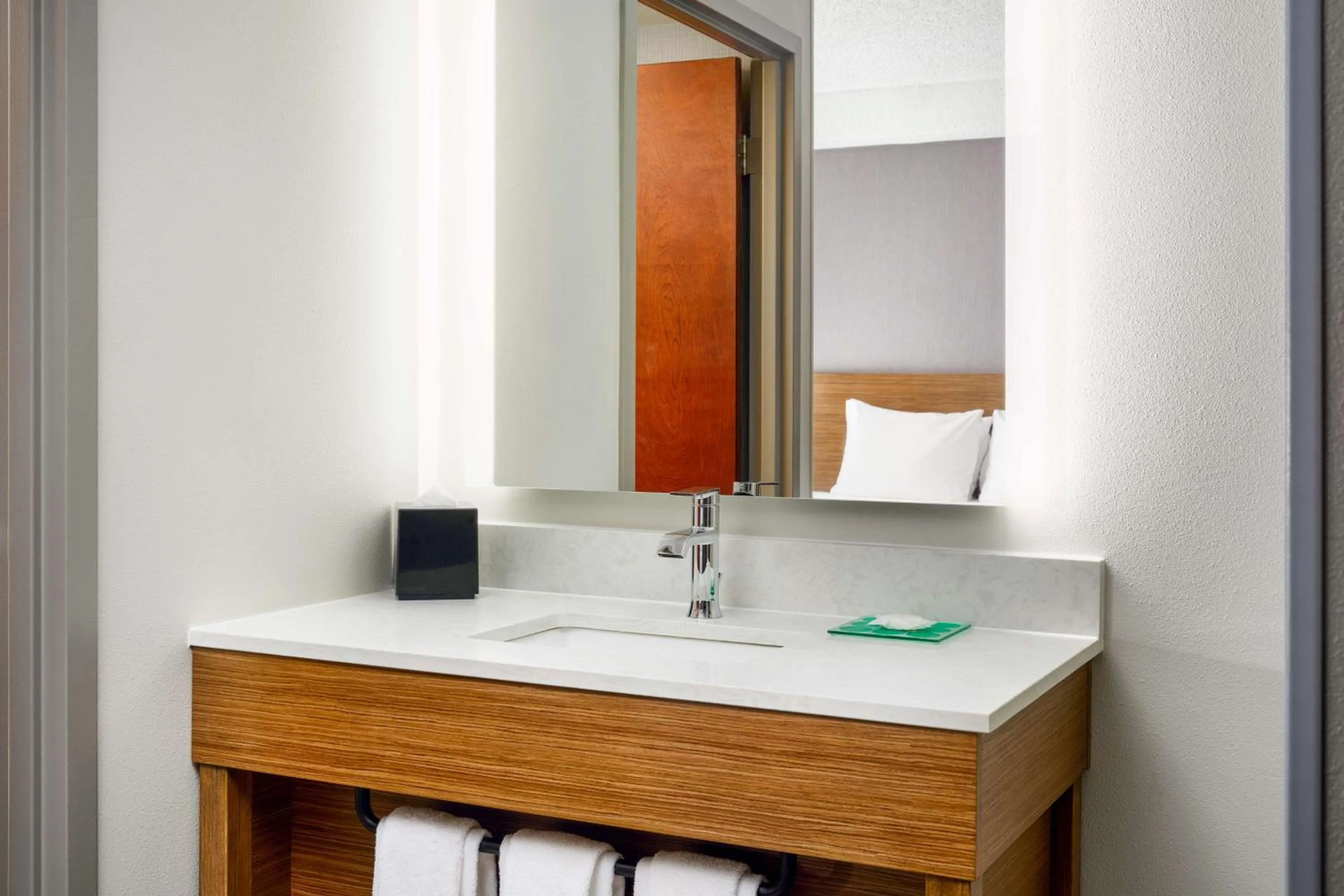 King Room with Sofa Bed and Roll-In Shower - Disability Access in Hyatt Place Greensboro