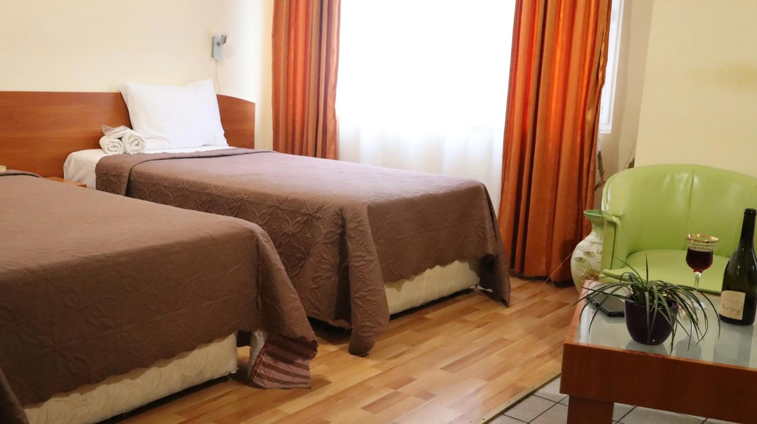 Deluxe Twin Room in Hotel Palitra