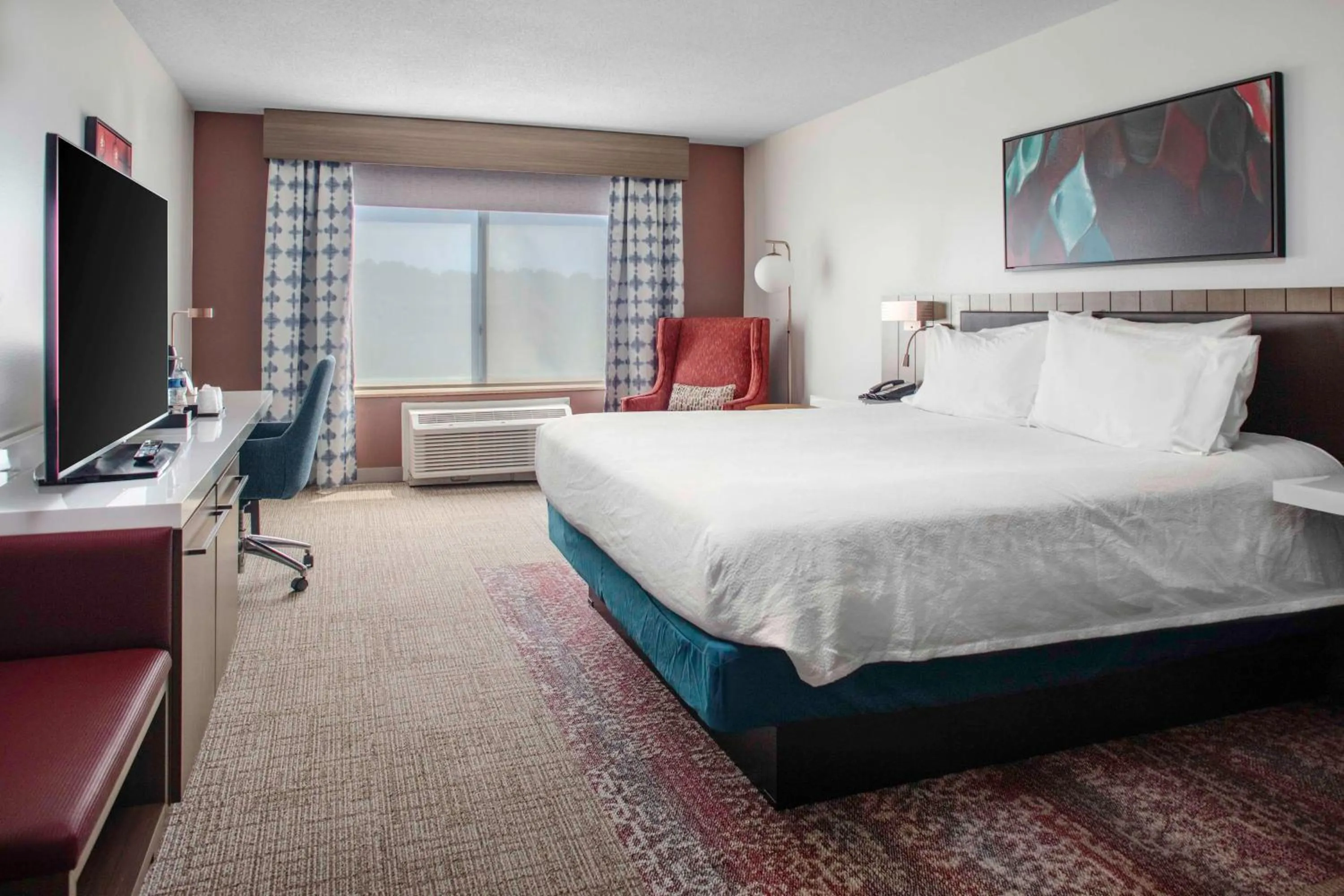 King Room with Tub - Mobility and Hearing Access in Hilton Garden Inn Roanoke Rapids