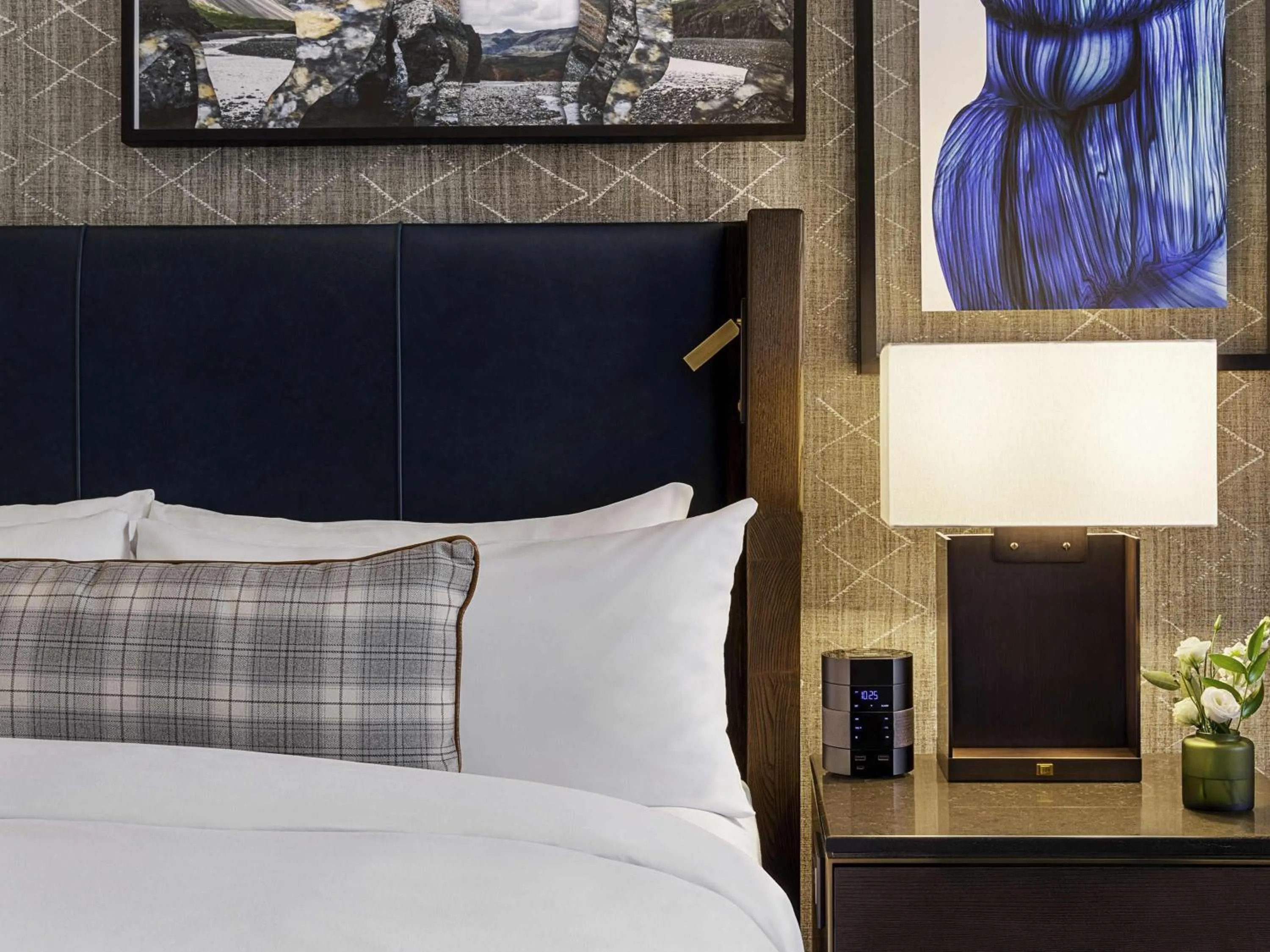 Fairmont View 1 Queen bed in Fairmont Banff Springs