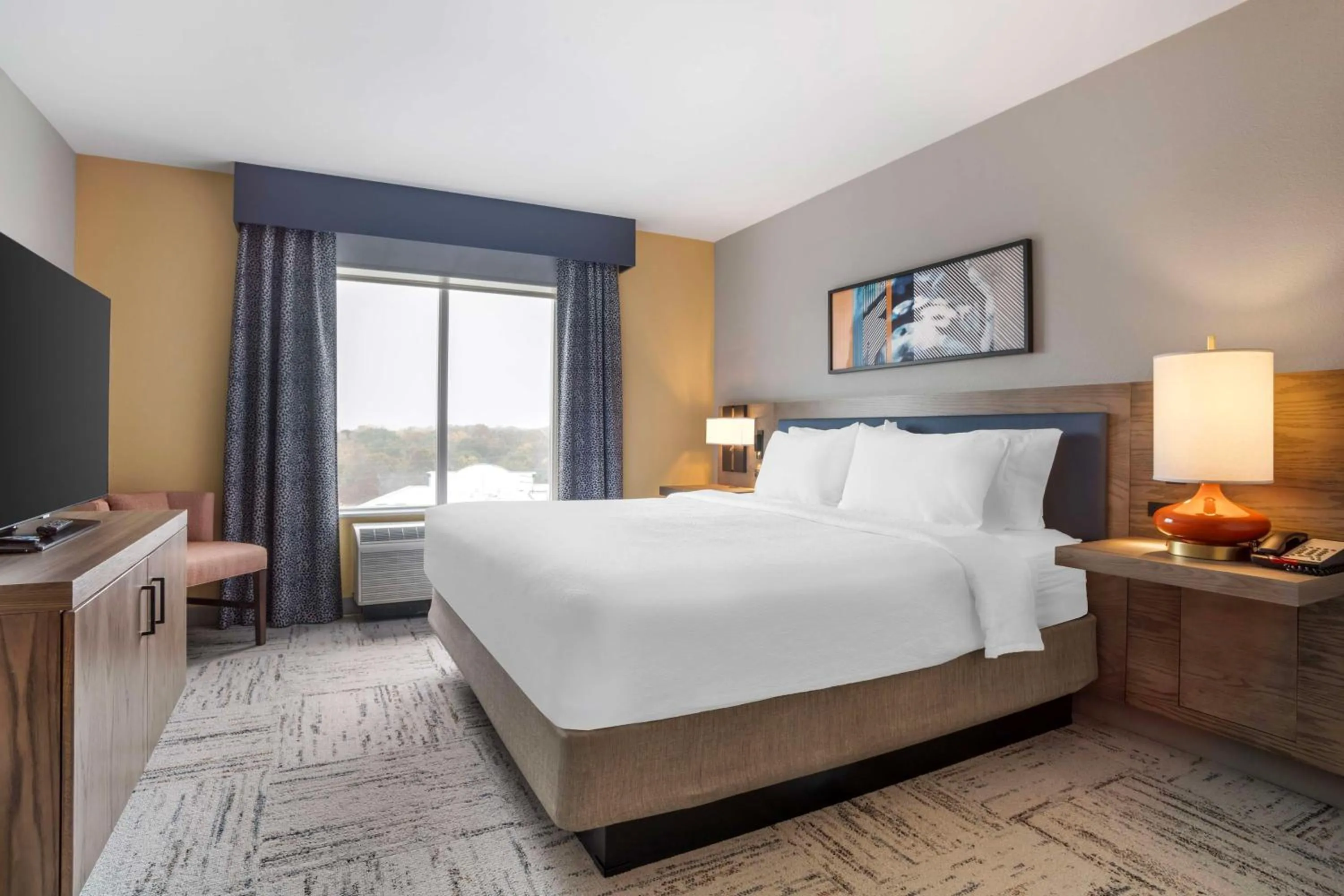 One-Bedroom King Suite in Hilton Garden Inn Charlotte/Concord