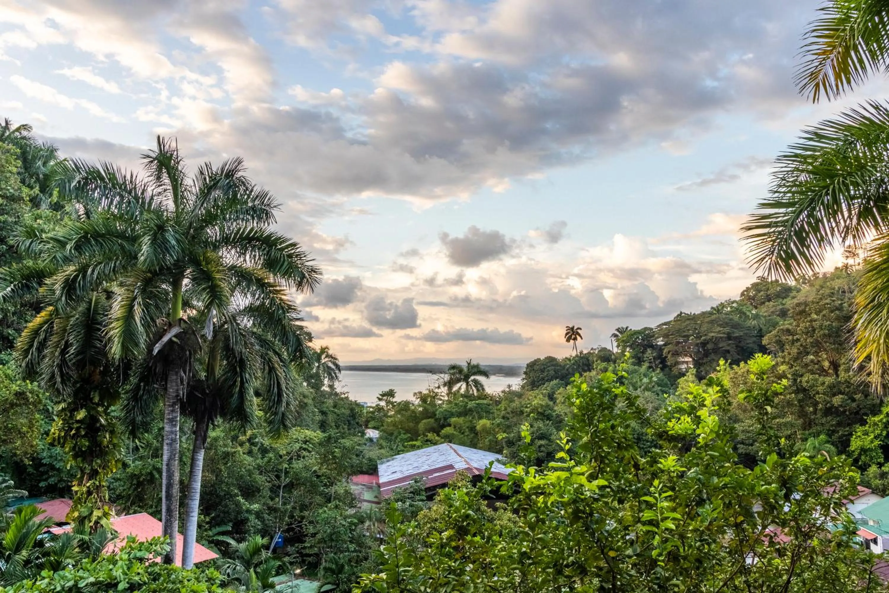 Toucan Suite in Boutique Hotel Las Cascadas