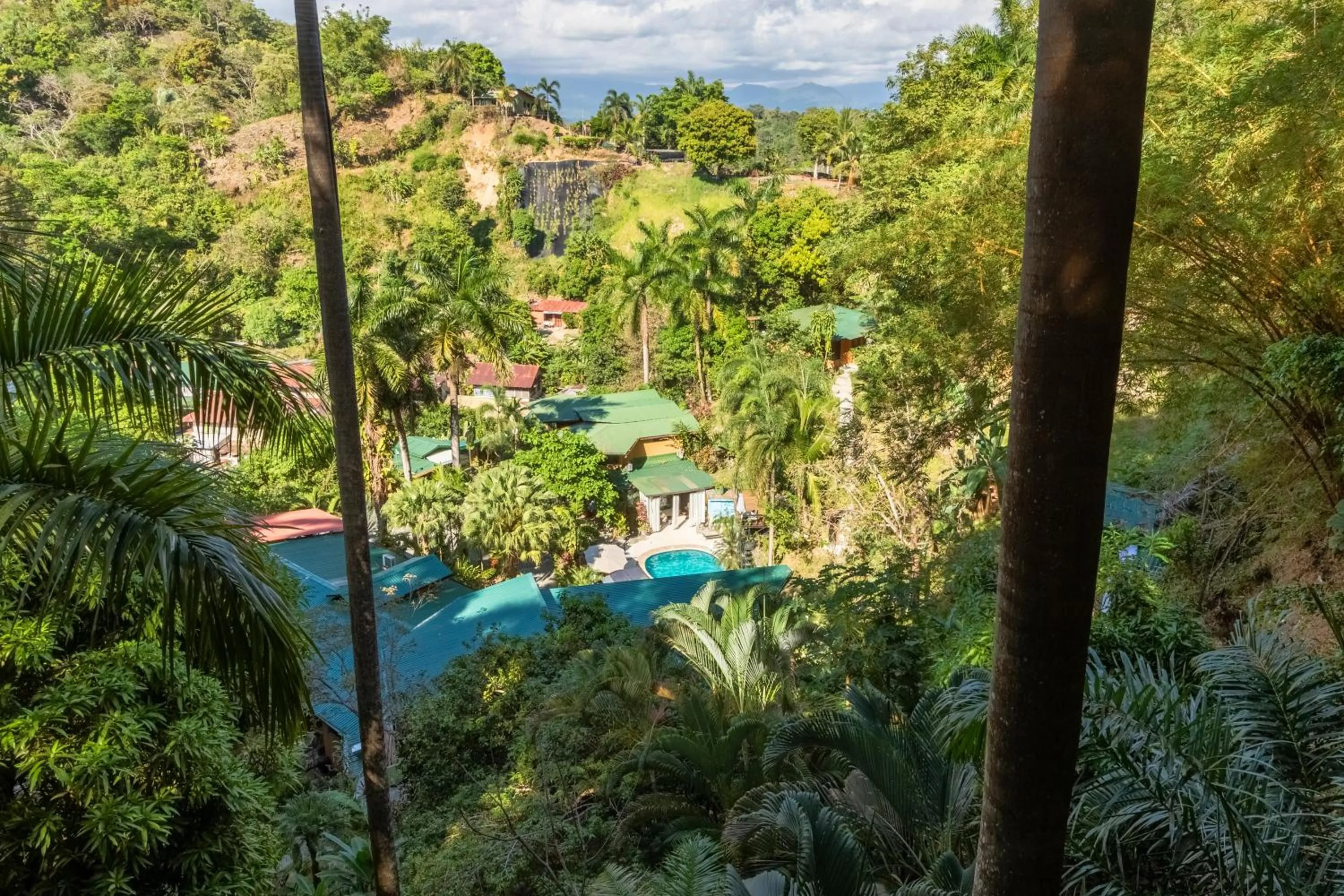 Tree Top Canopy in Boutique Hotel Las Cascadas